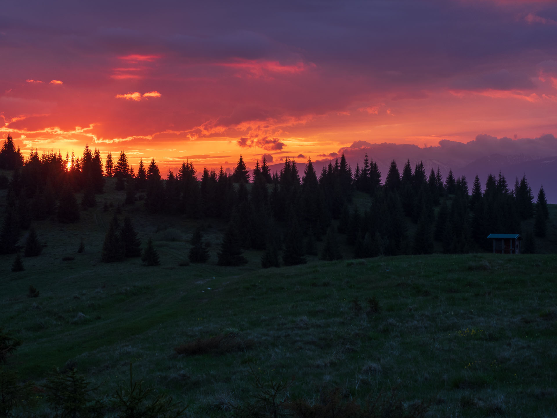 Smrečiny z Liptovskej Tepličky (Nízke Tatry)