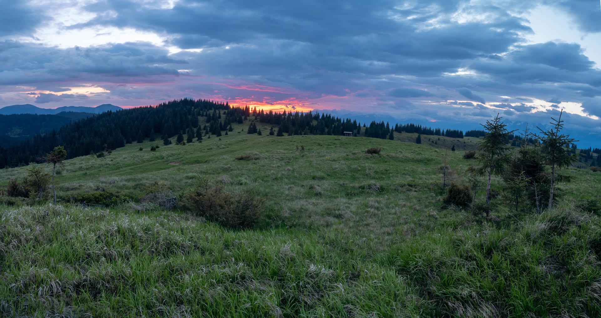 Smrečiny z Liptovskej Tepličky (Nízke Tatry)