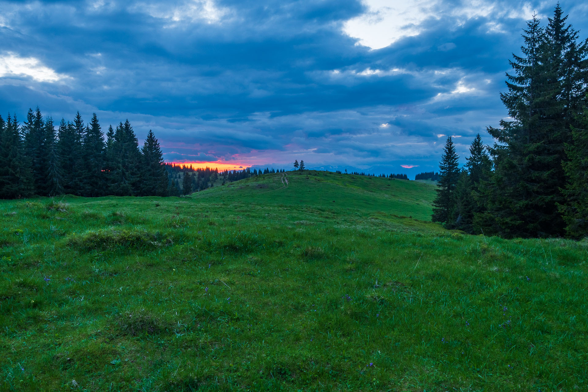 Smrečiny z Liptovskej Tepličky (Nízke Tatry)