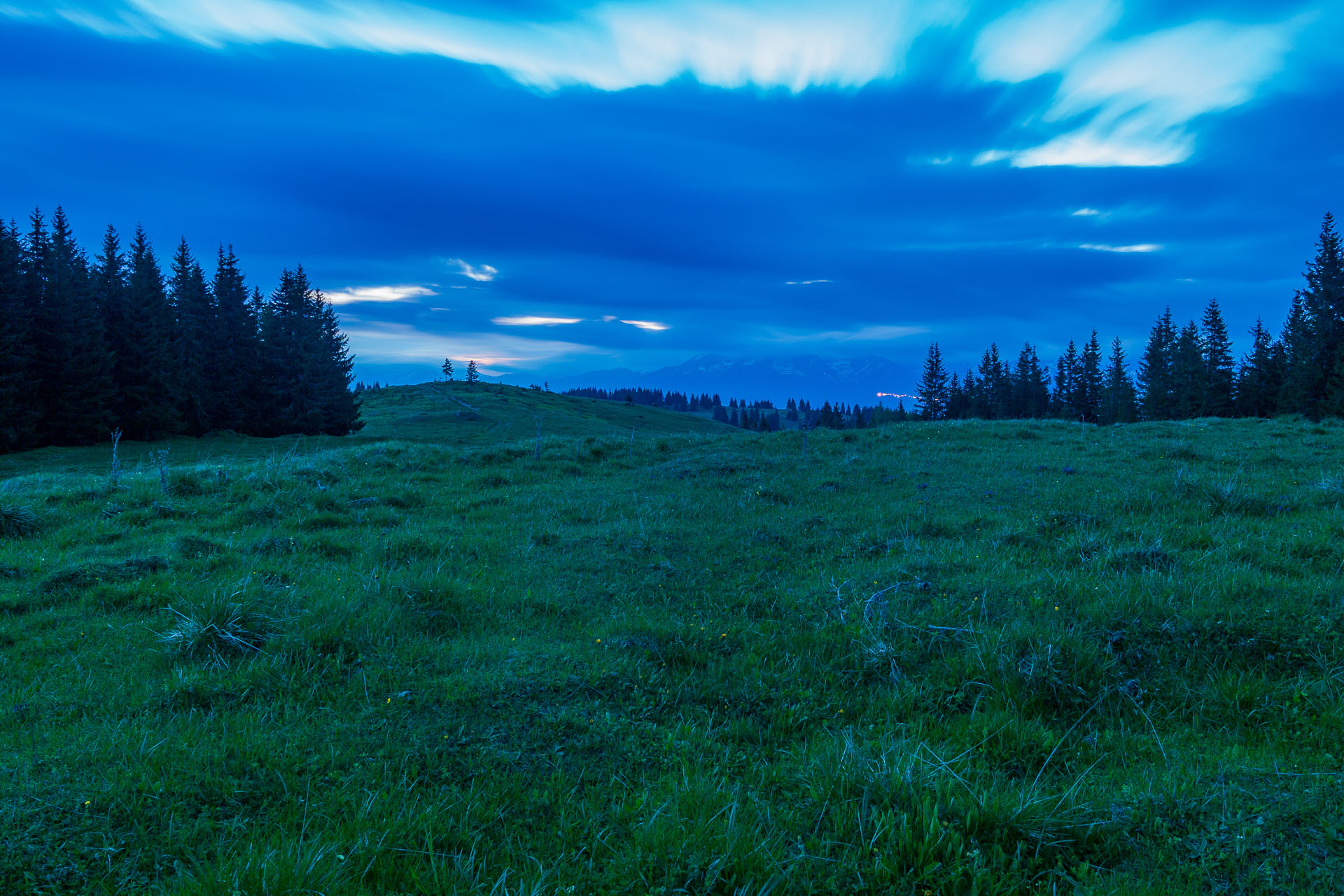 Smrečiny z Liptovskej Tepličky (Nízke Tatry)