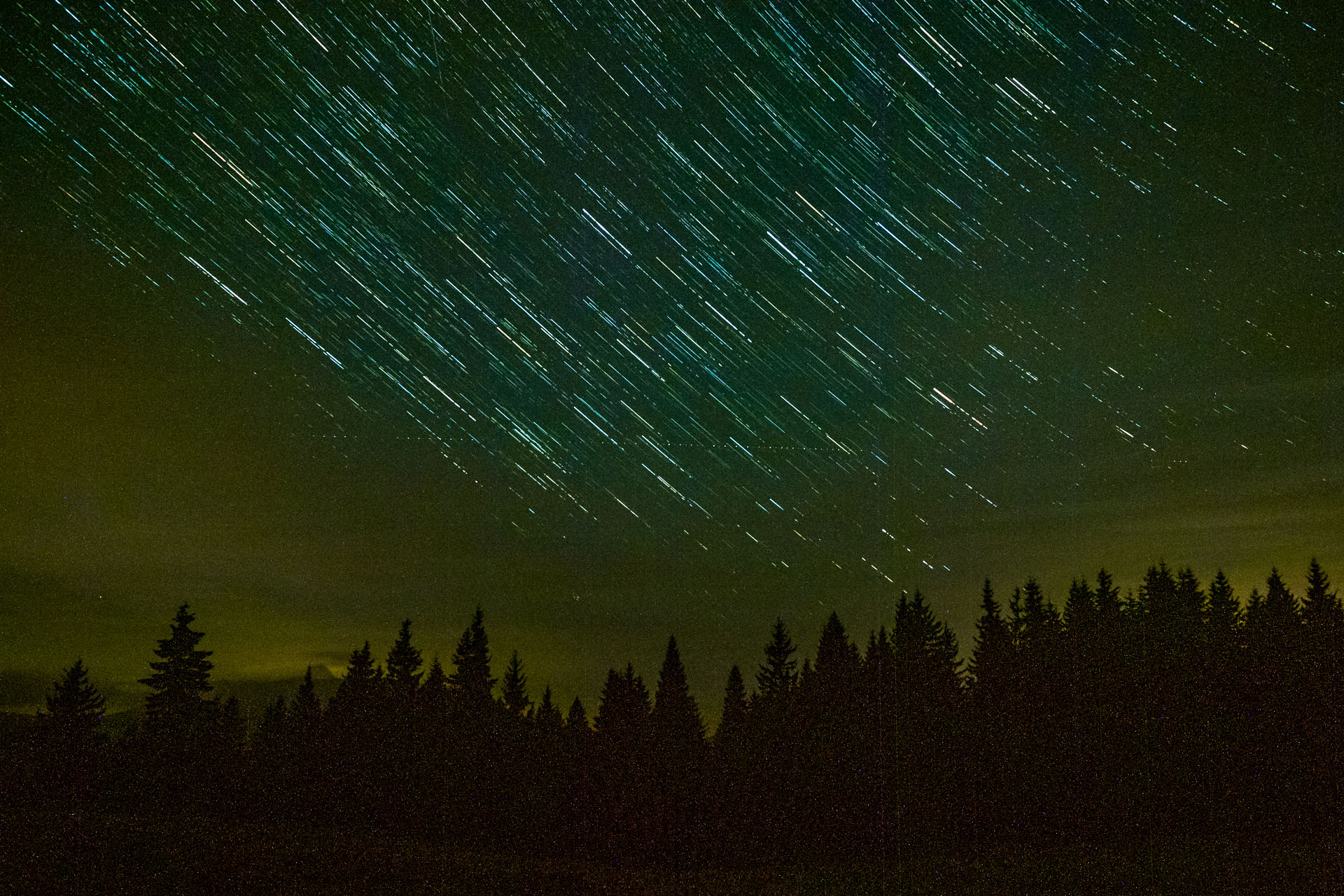 Smrečiny z Liptovskej Tepličky (Nízke Tatry)