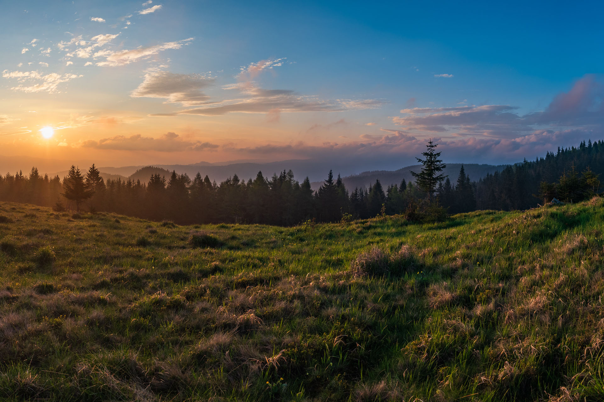 Smrečiny z Liptovskej Tepličky (Nízke Tatry)