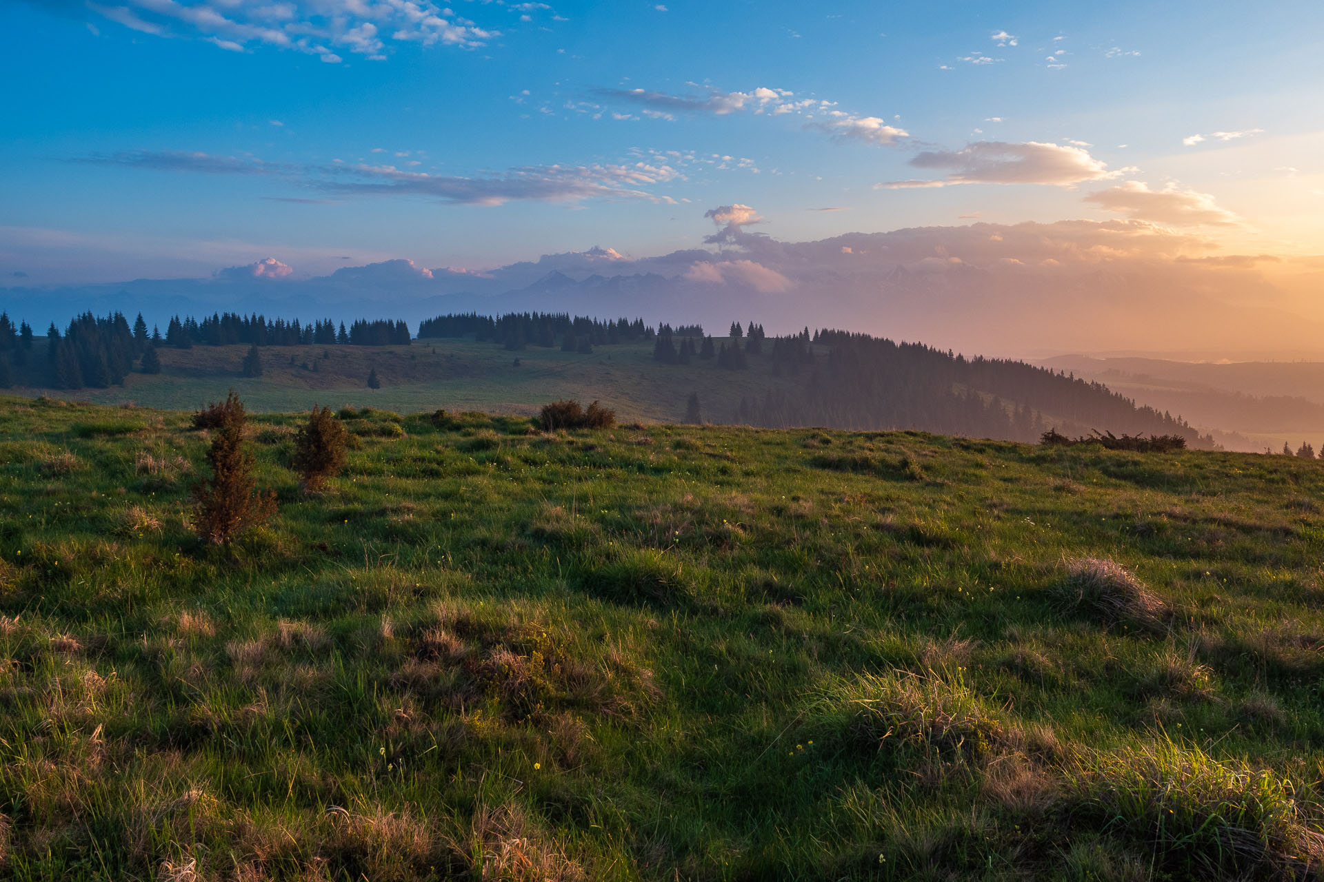 Smrečiny z Liptovskej Tepličky (Nízke Tatry)