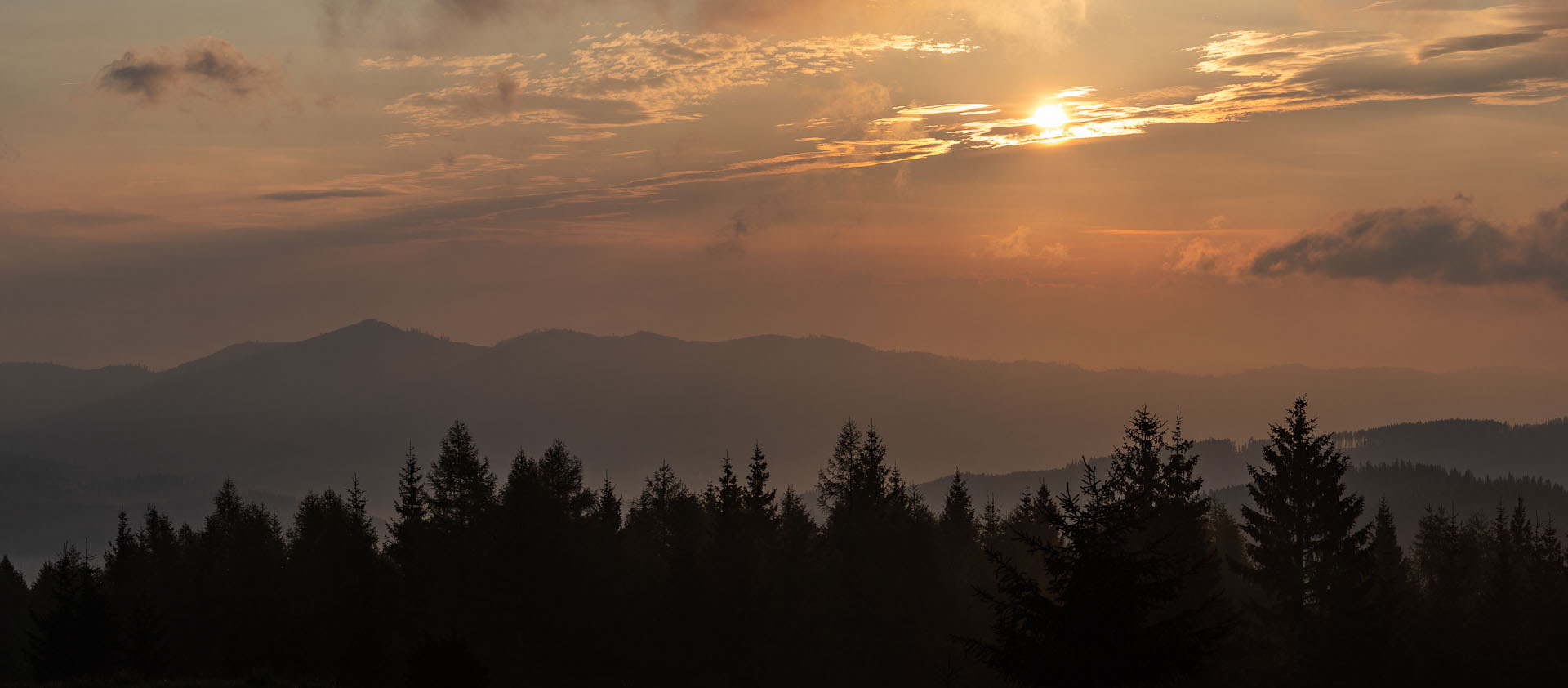 Smrečiny z Liptovskej Tepličky (Nízke Tatry)