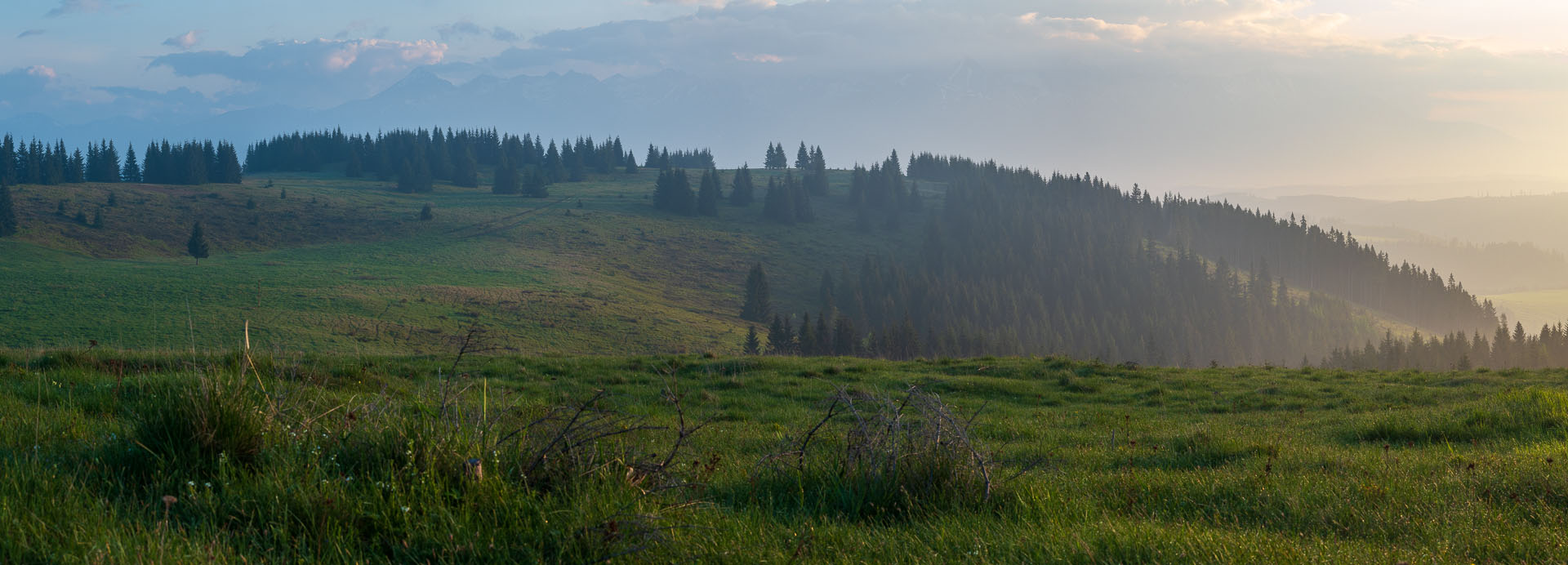 Smrečiny z Liptovskej Tepličky (Nízke Tatry)