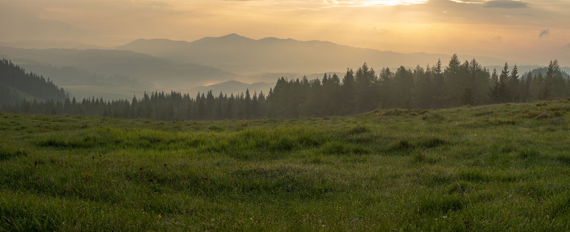 Smrečiny z Liptovskej Tepličky (Nízke Tatry)