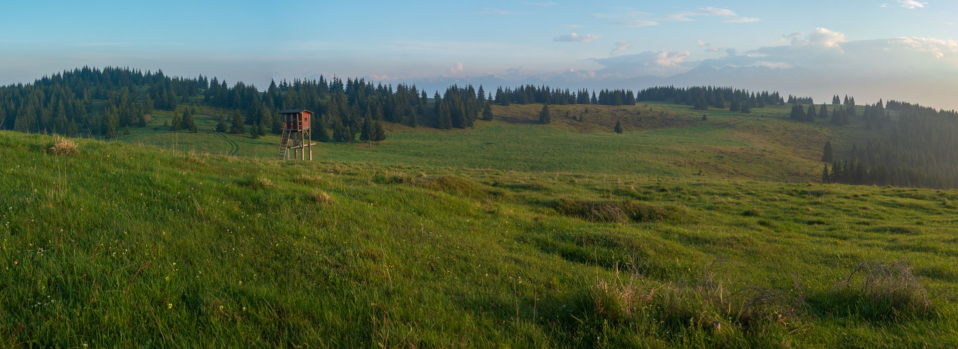 Smrečiny z Liptovskej Tepličky (Nízke Tatry)