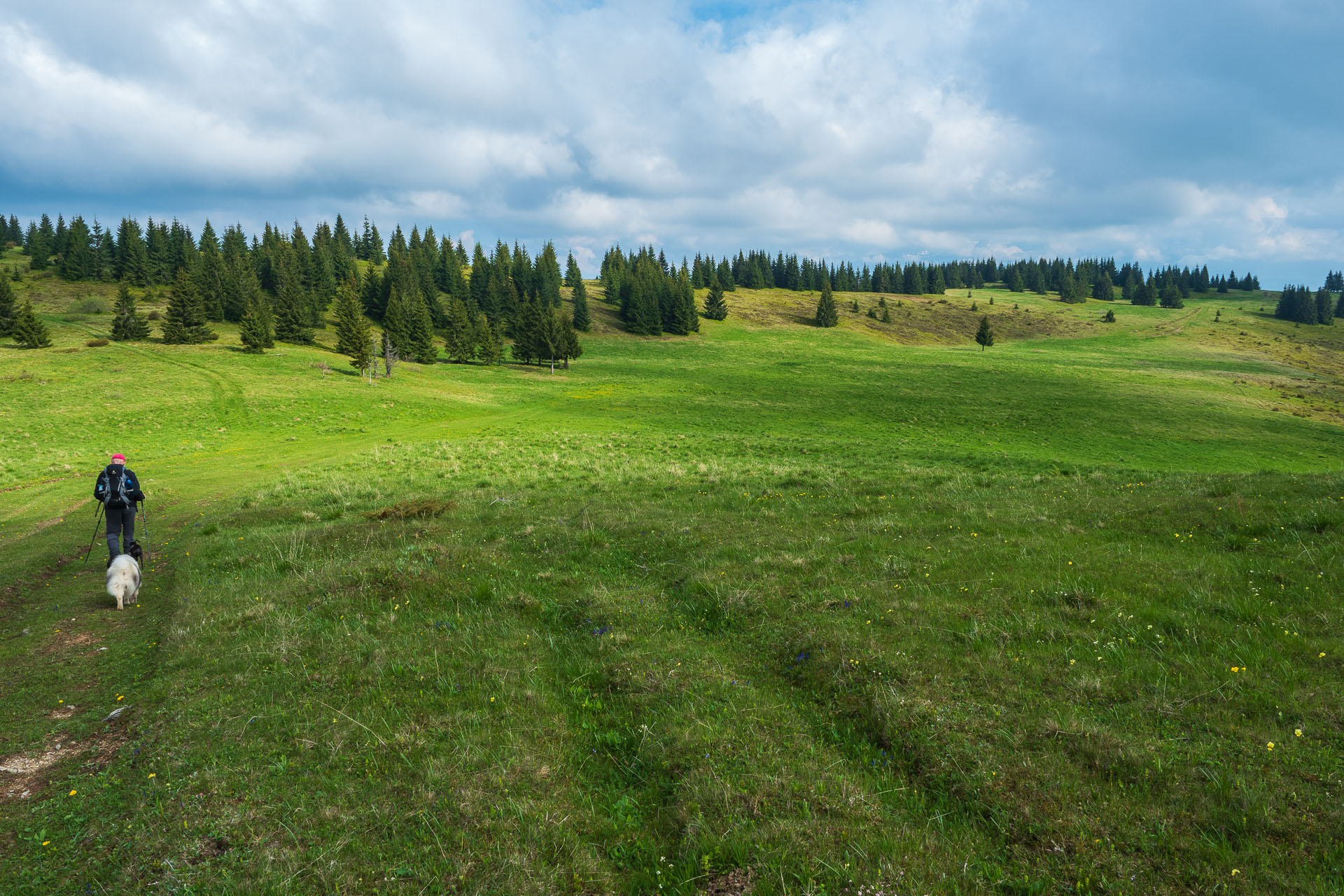 Smrečiny z Liptovskej Tepličky (Nízke Tatry)