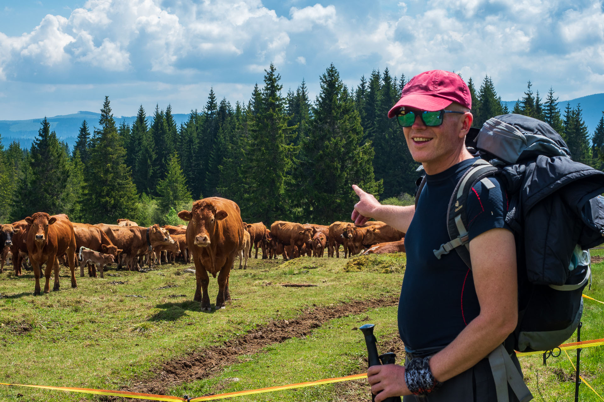 Smrečiny z Liptovskej Tepličky (Nízke Tatry)