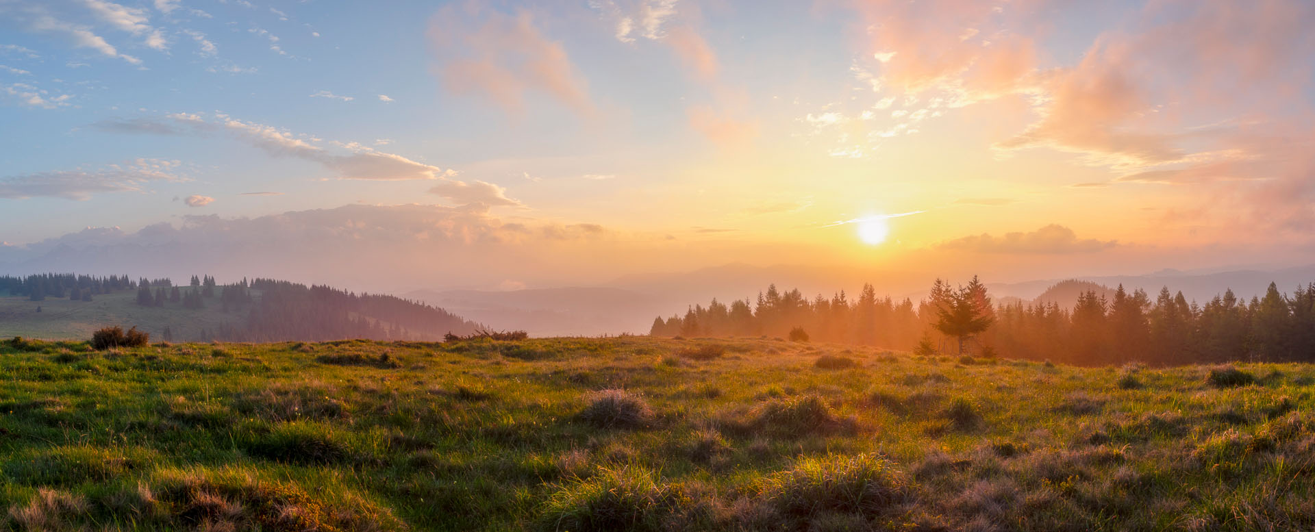 Smrečiny z Liptovskej Tepličky (Nízke Tatry)