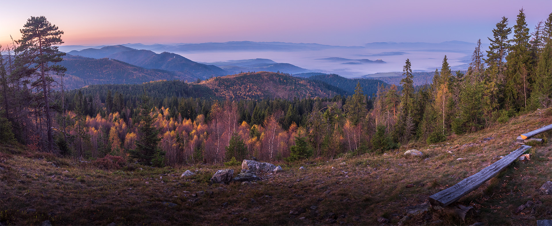 Smrekovica z Poľanoviec (Branisko a Bachureň)