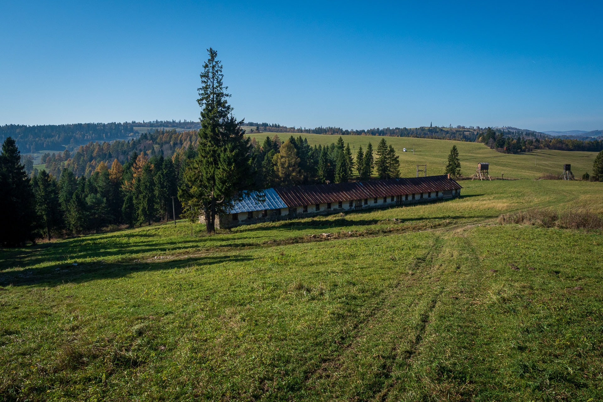 Smrekovica z Poľanoviec (Branisko a Bachureň)