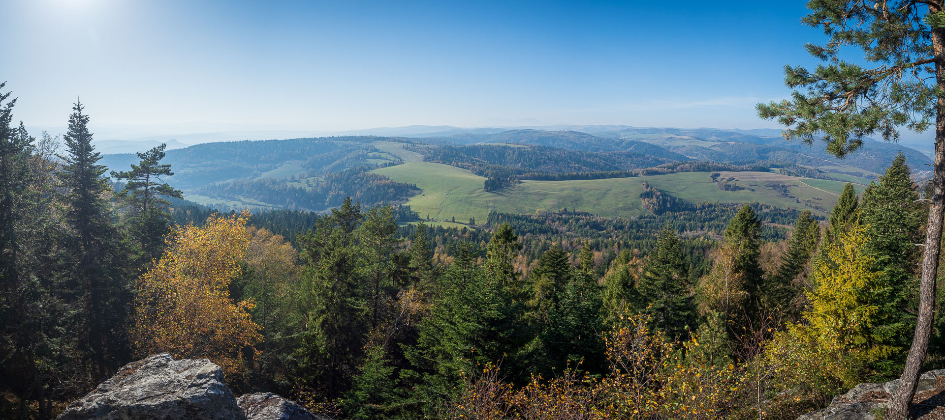 Smrekovica z Poľanoviec (Branisko a Bachureň)