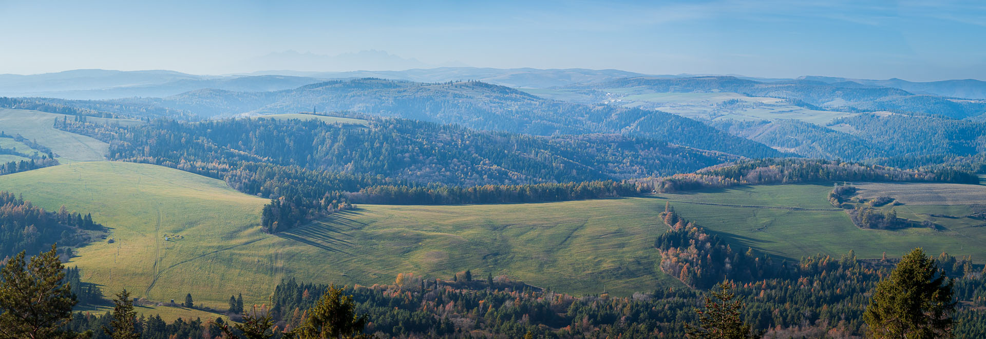 Smrekovica z Poľanoviec (Branisko a Bachureň)