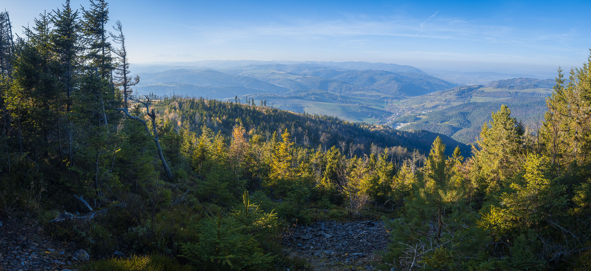 Smrekovica z Poľanoviec (Branisko a Bachureň)