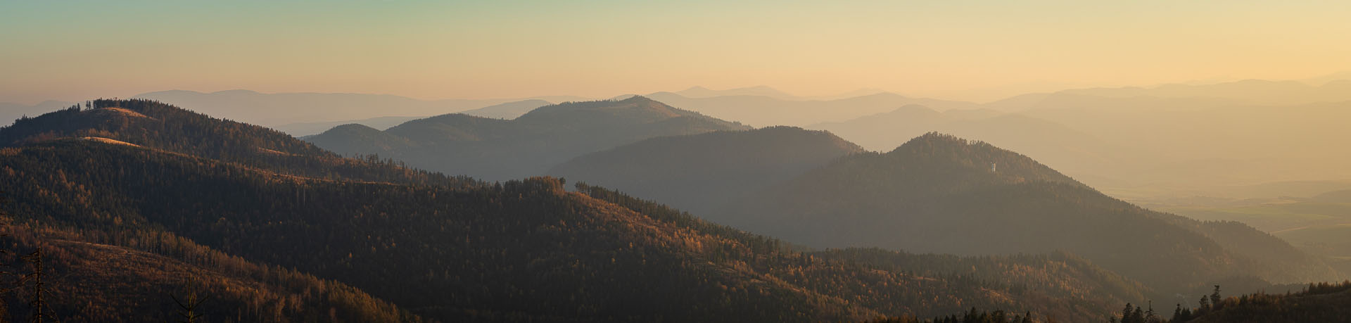 Smrekovica z Poľanoviec (Branisko a Bachureň)