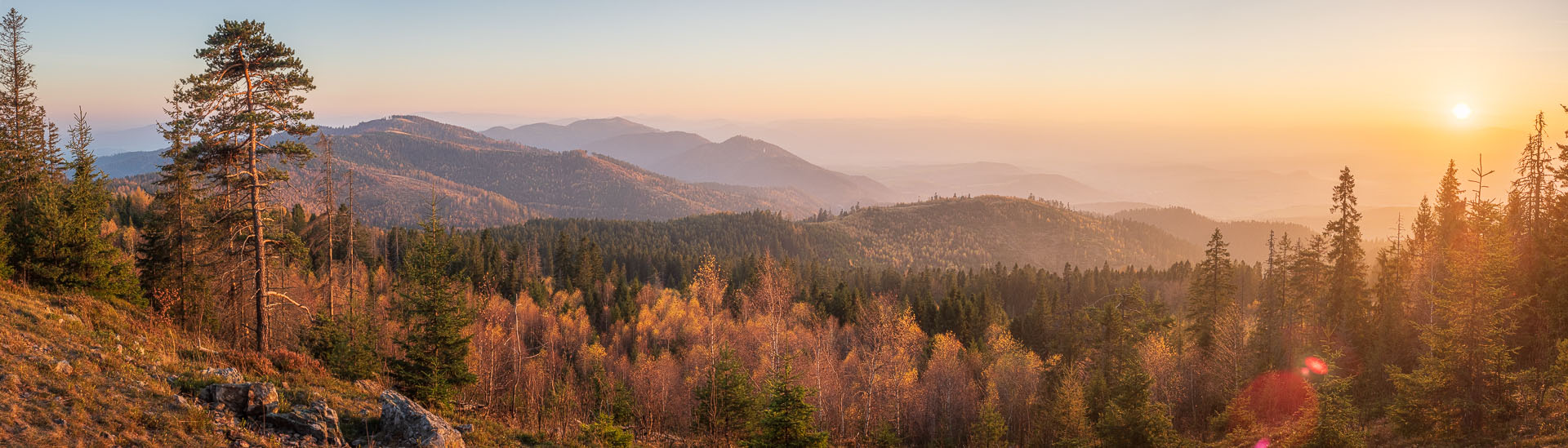 Smrekovica z Poľanoviec (Branisko a Bachureň)