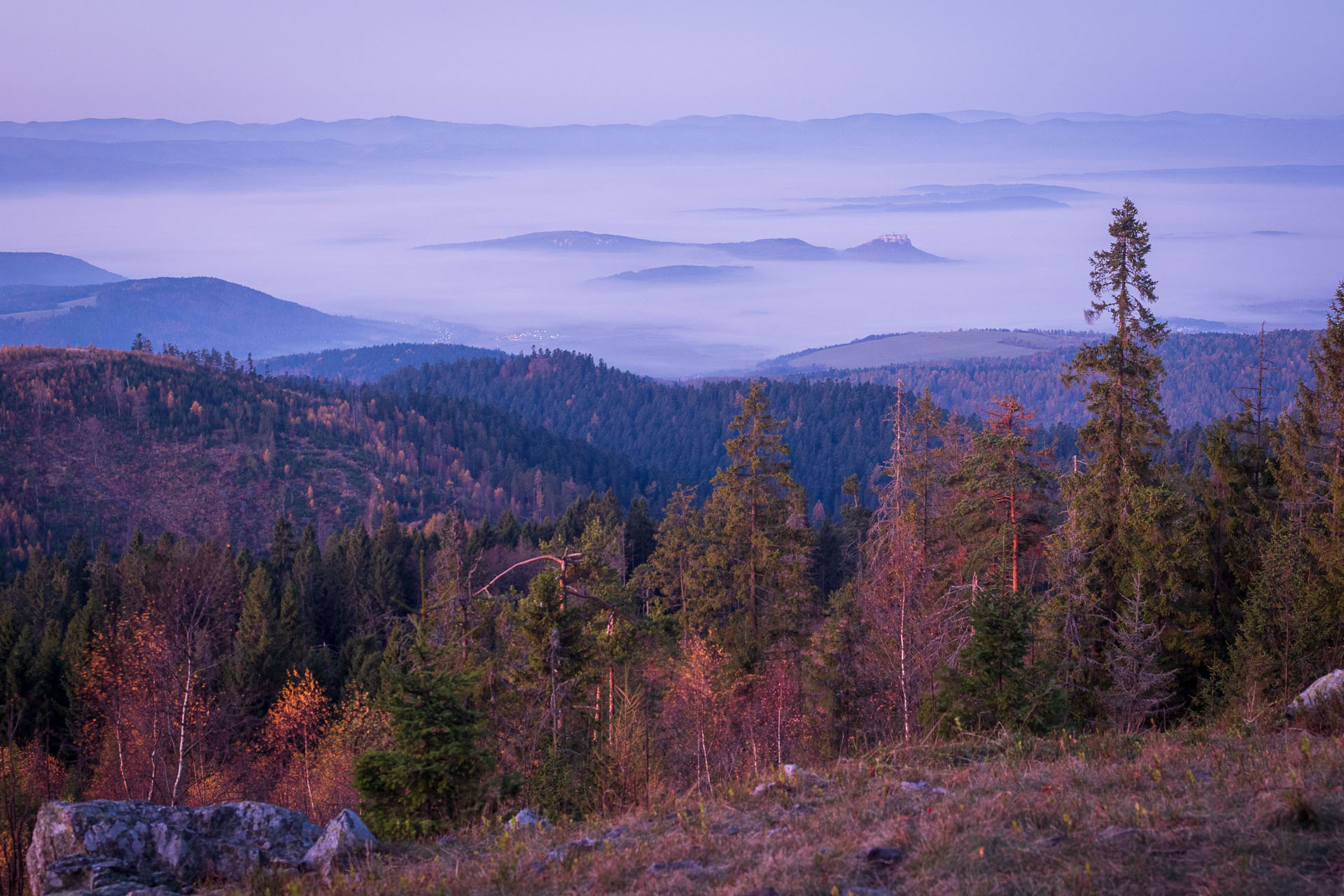 Smrekovica z Poľanoviec (Branisko a Bachureň)