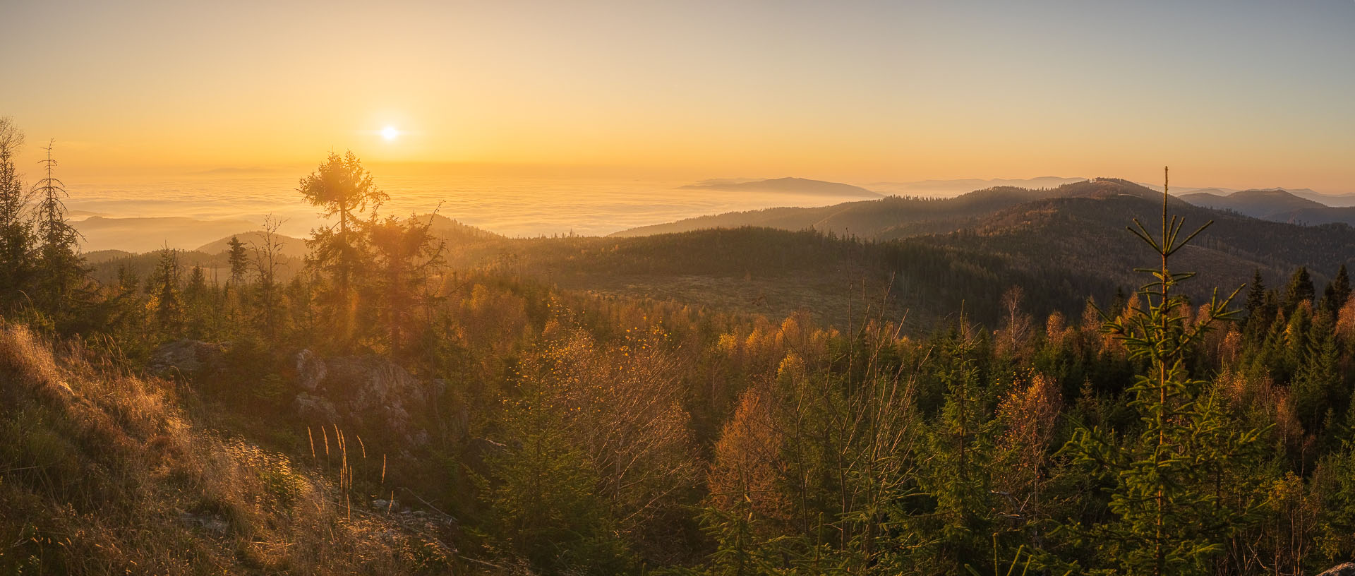 Smrekovica z Poľanoviec (Branisko a Bachureň)