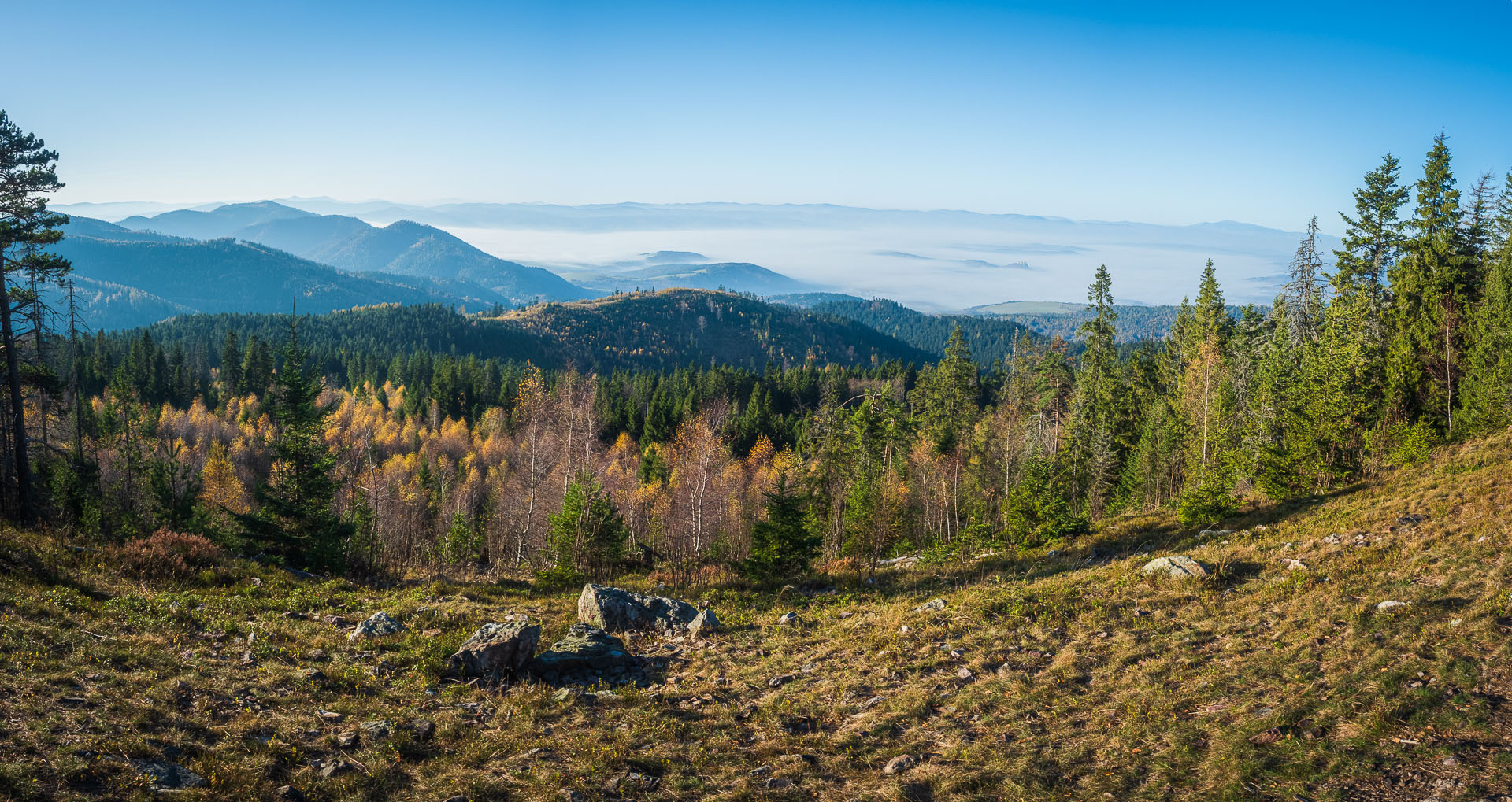 Smrekovica z Poľanoviec (Branisko a Bachureň)