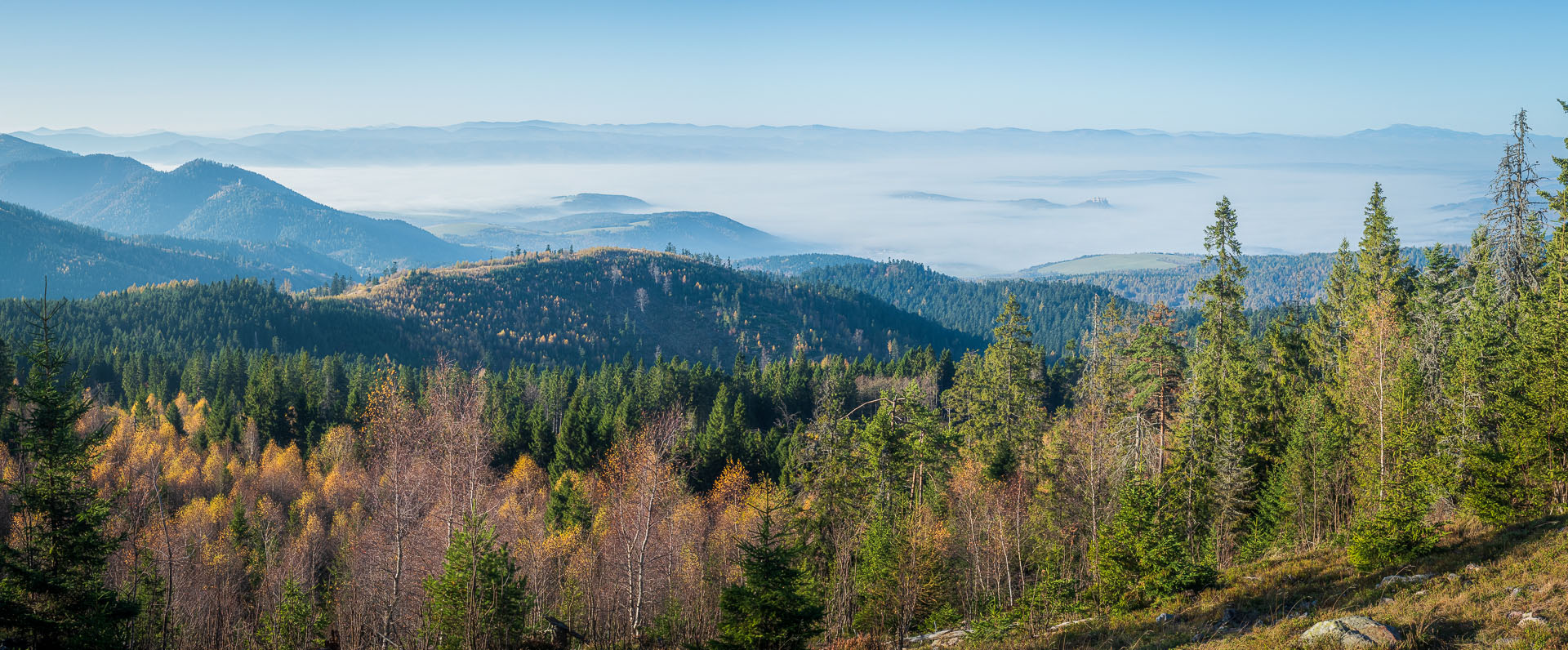 Smrekovica z Poľanoviec (Branisko a Bachureň)