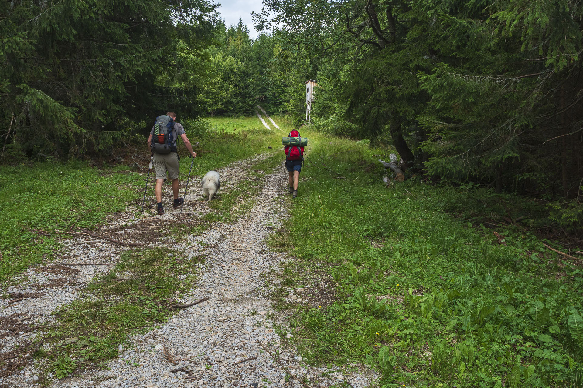 Veľká Vápenica z Heľpy (Nízke Tatry)