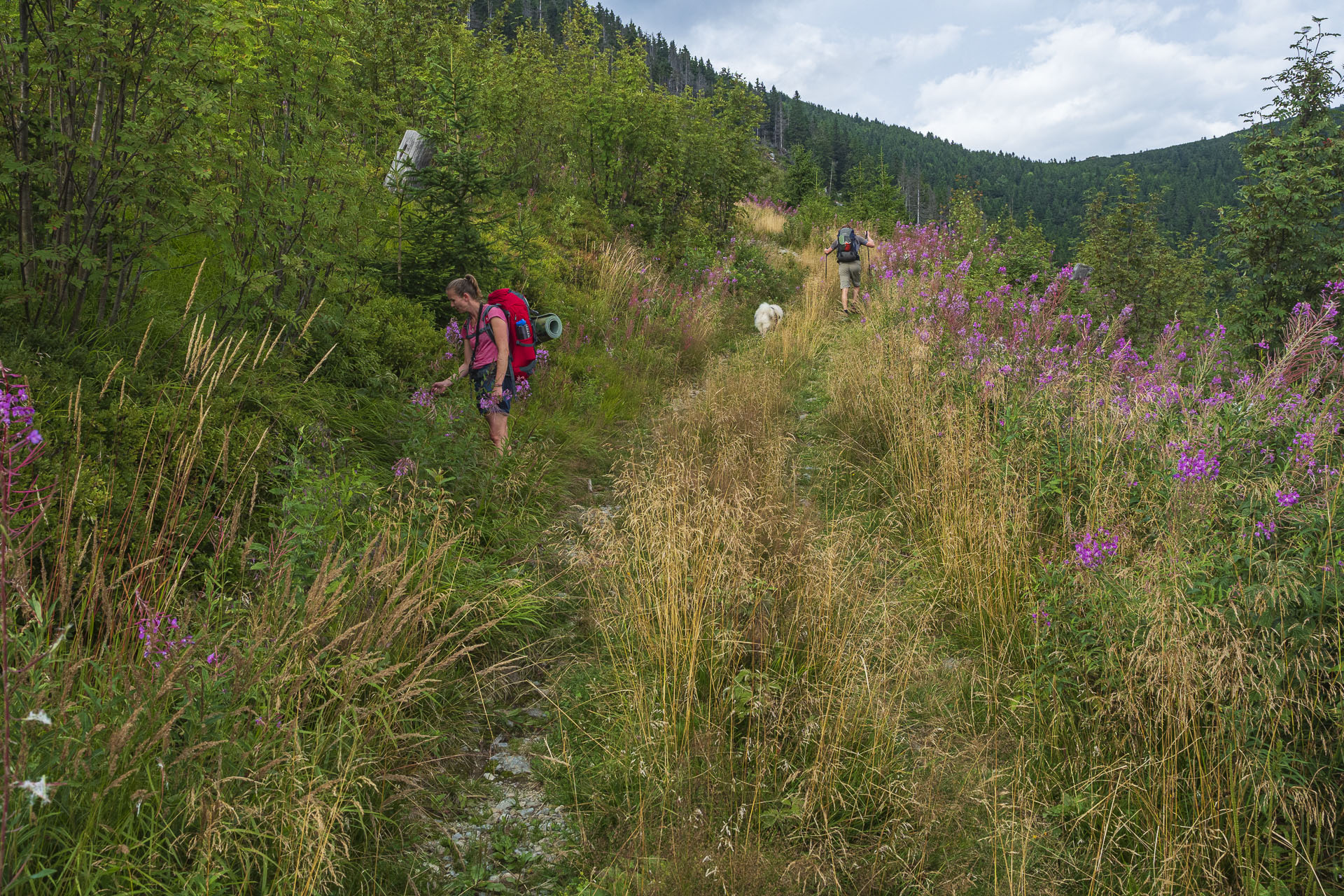 Veľká Vápenica z Heľpy (Nízke Tatry)