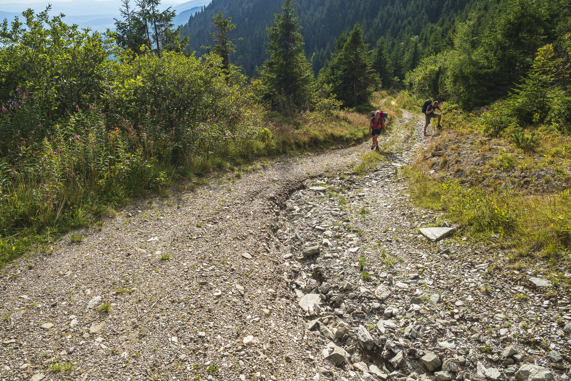 Veľká Vápenica z Heľpy (Nízke Tatry)