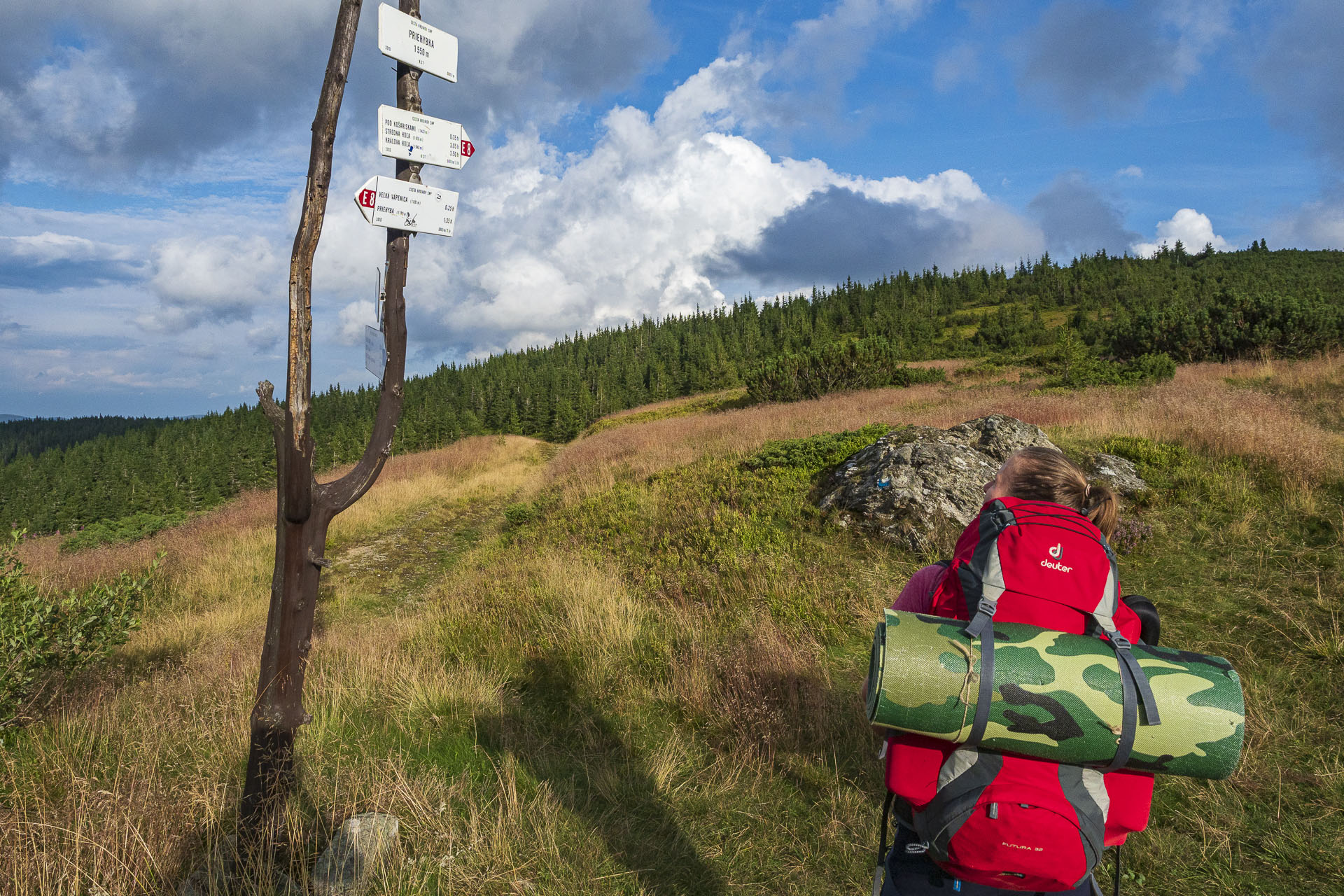 Veľká Vápenica z Heľpy (Nízke Tatry)