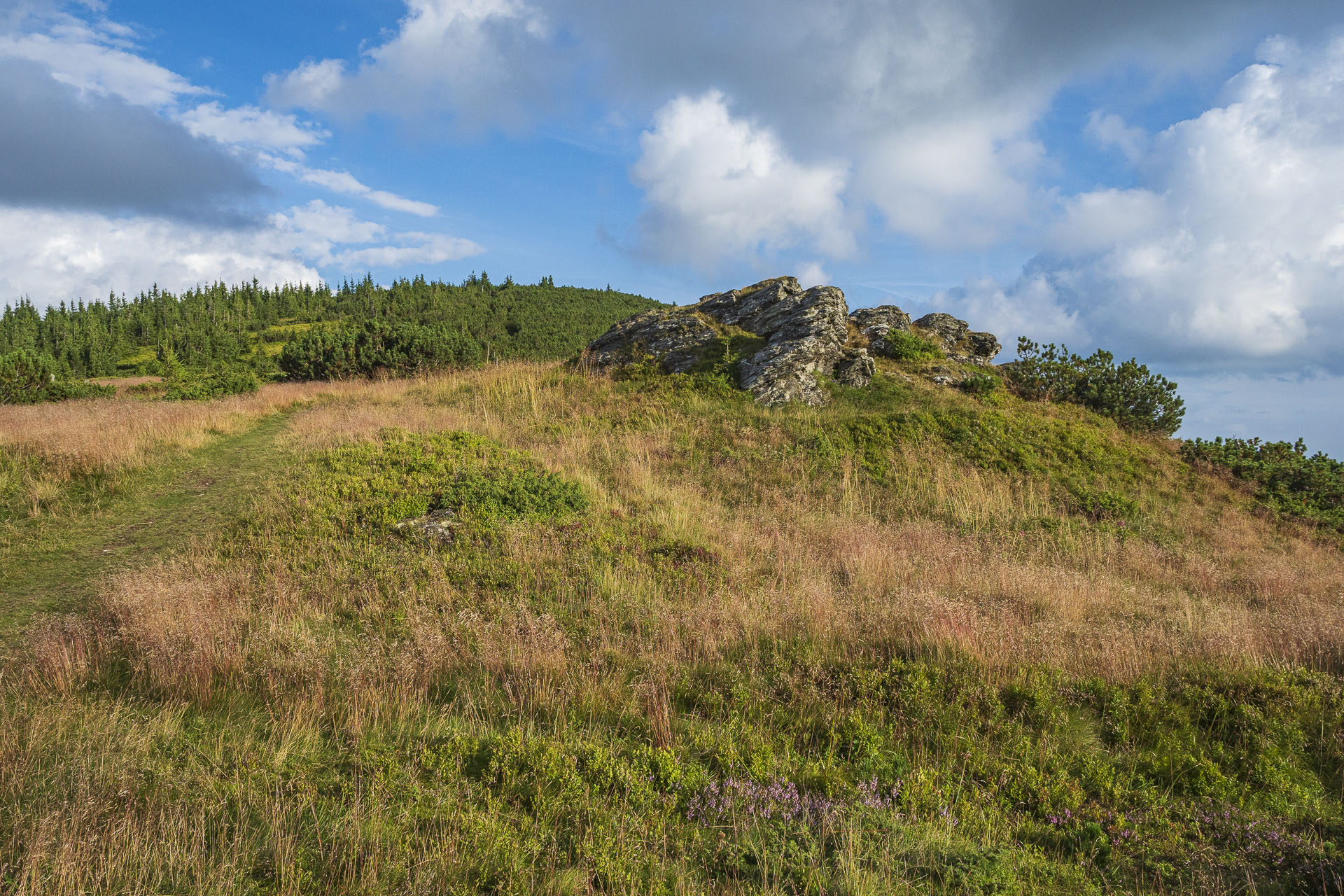 Veľká Vápenica z Heľpy (Nízke Tatry)