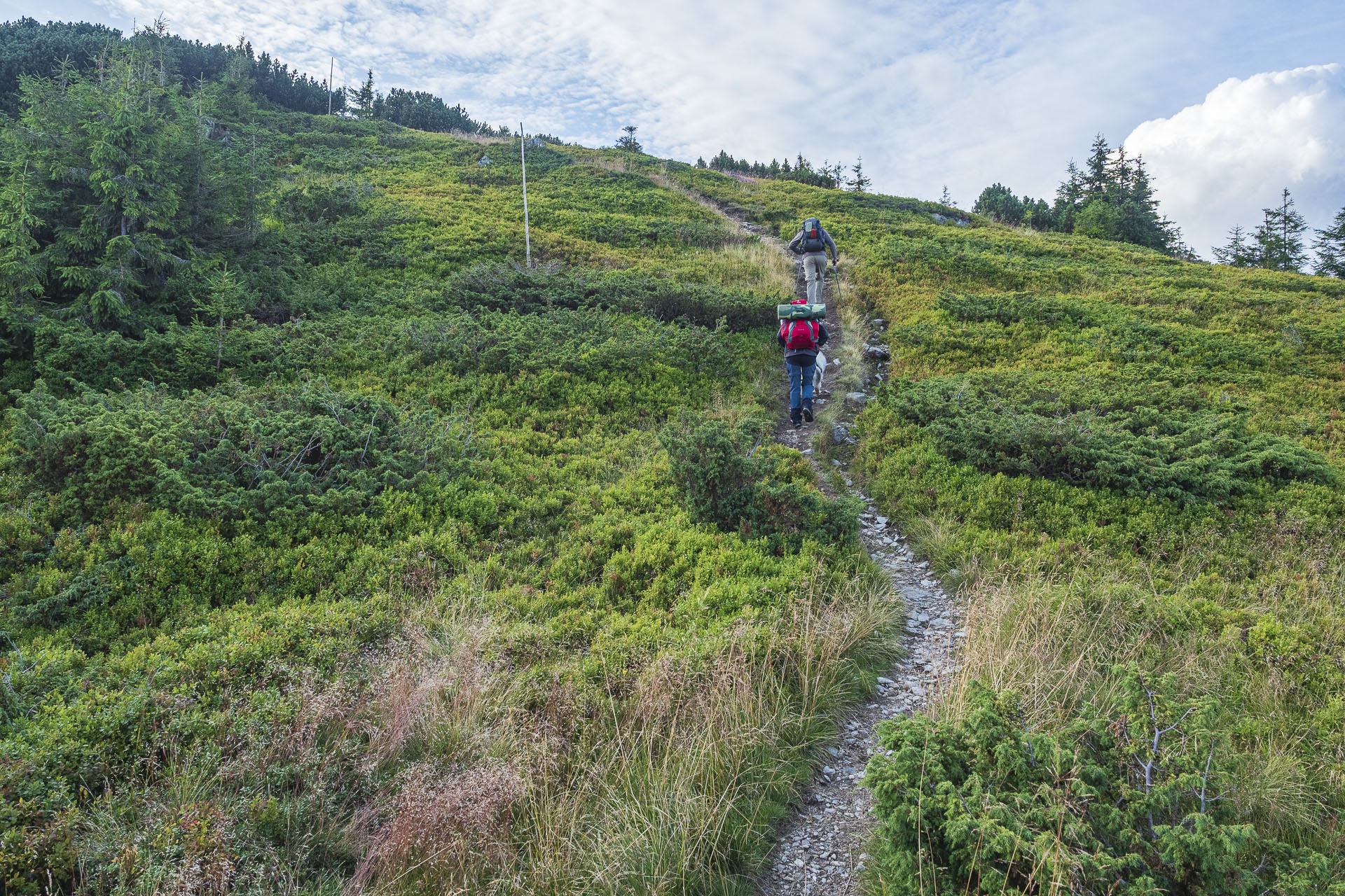 Veľká Vápenica z Heľpy (Nízke Tatry)