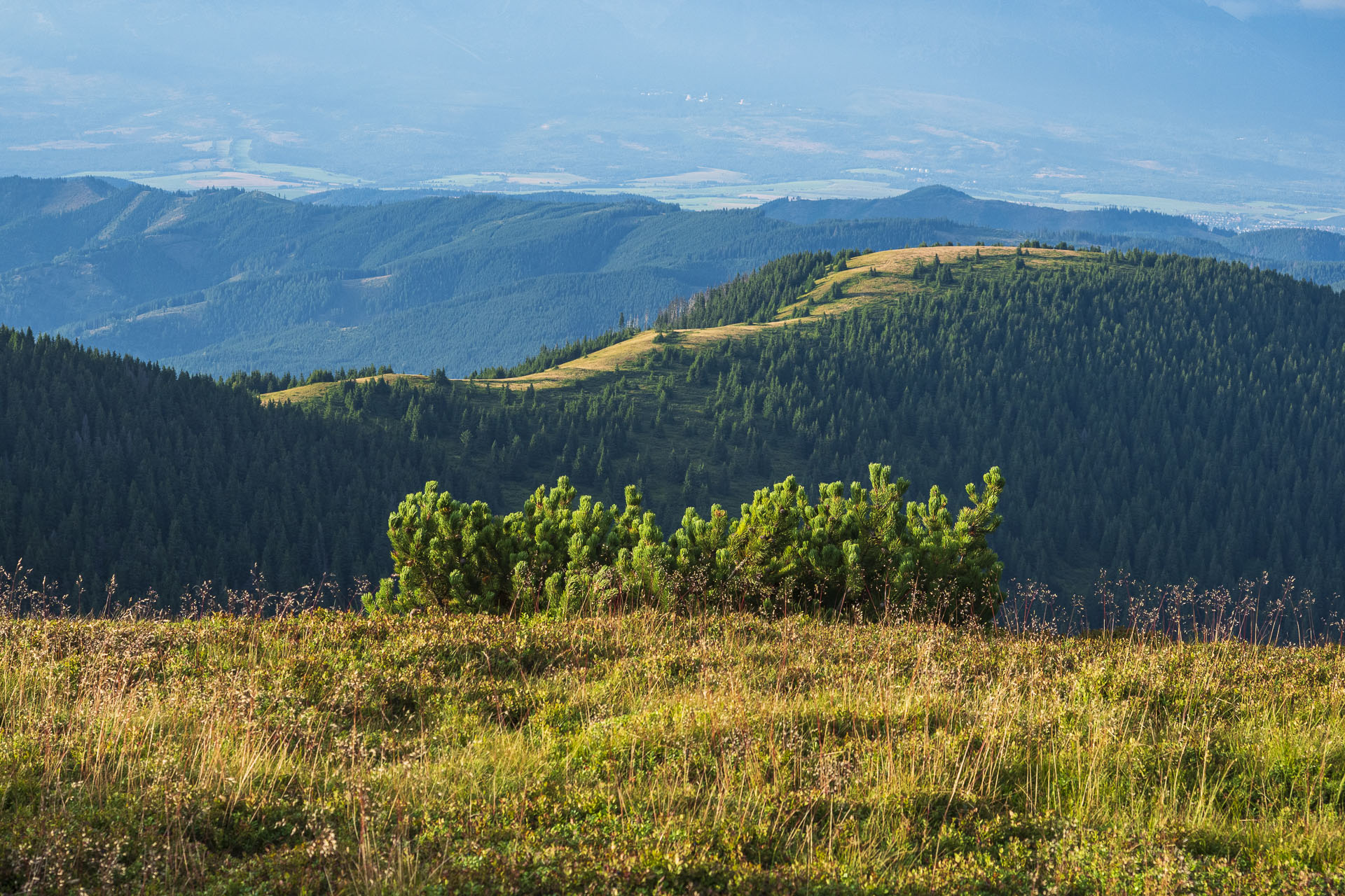 Veľká Vápenica z Heľpy (Nízke Tatry)