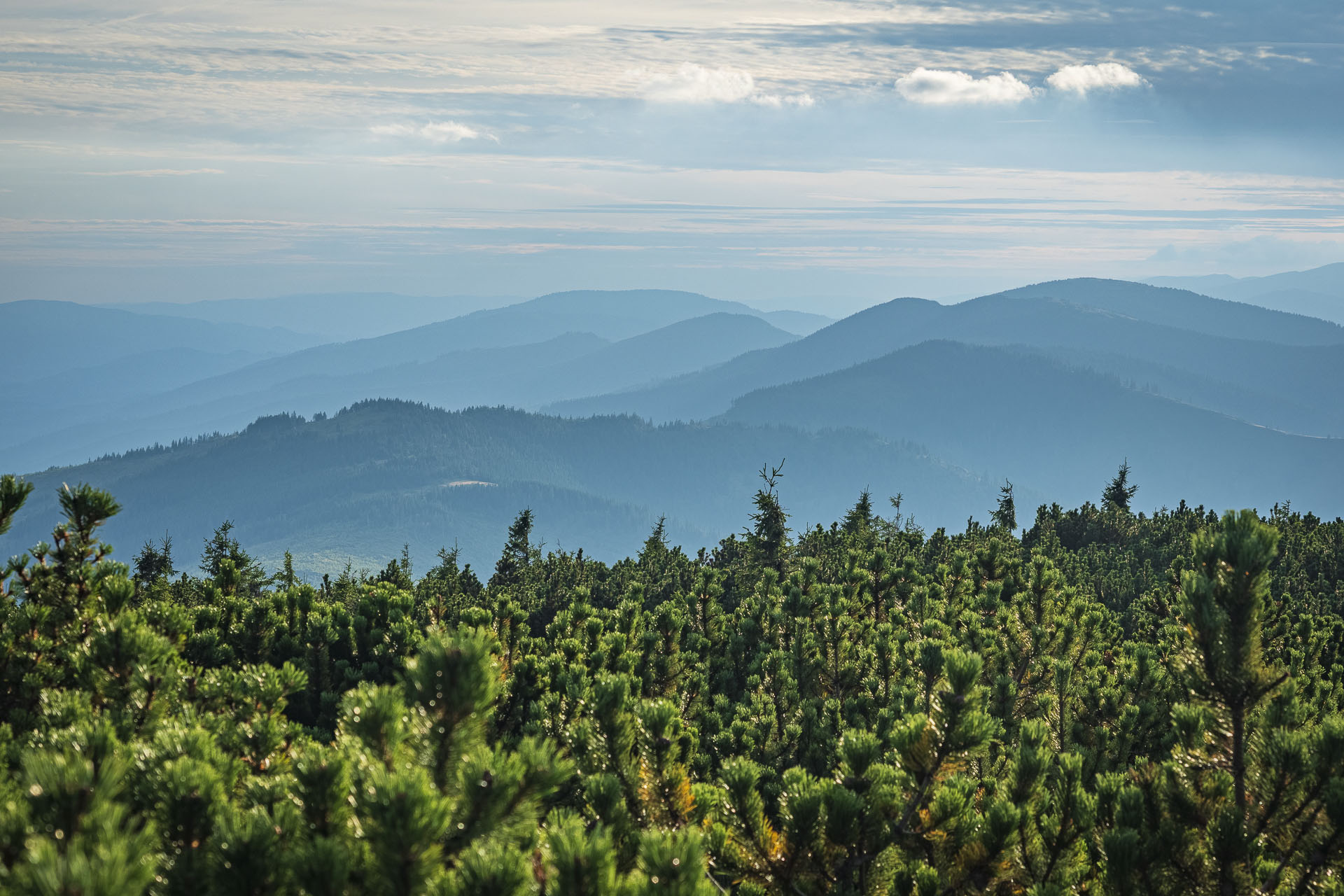 Veľká Vápenica z Heľpy (Nízke Tatry)