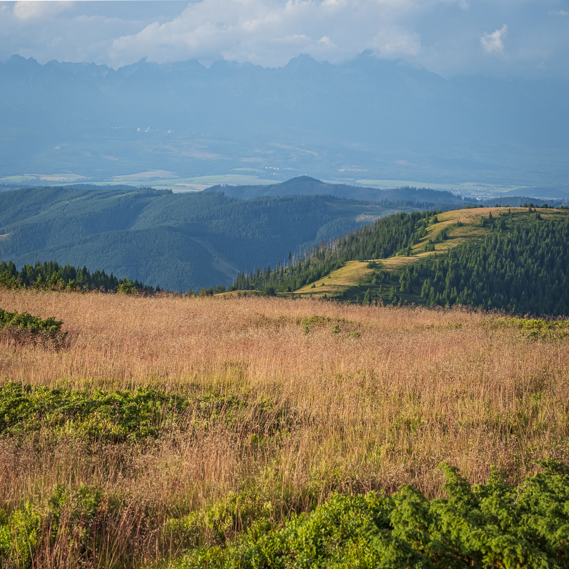 Veľká Vápenica z Heľpy (Nízke Tatry)