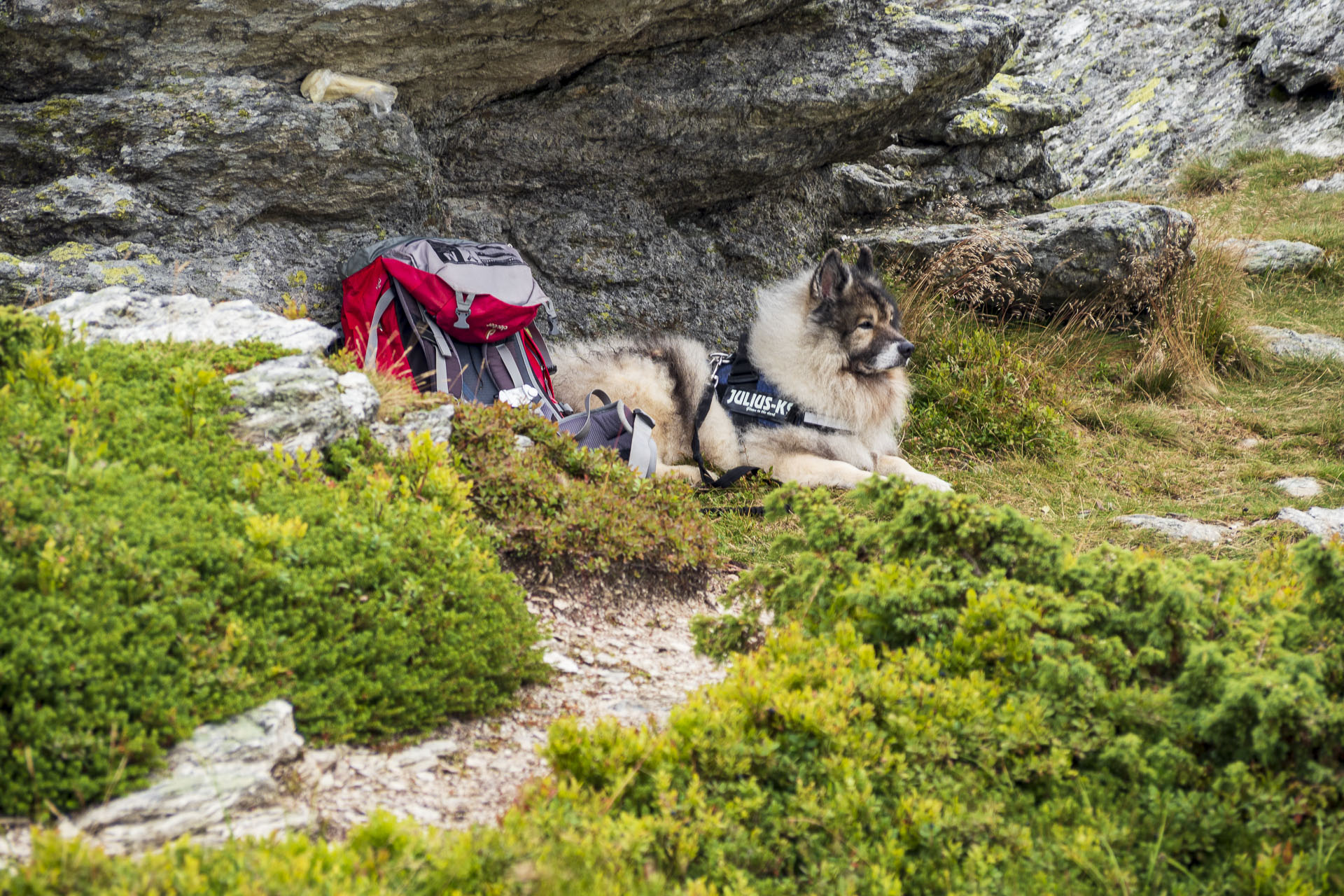 Veľká Vápenica z Heľpy (Nízke Tatry)