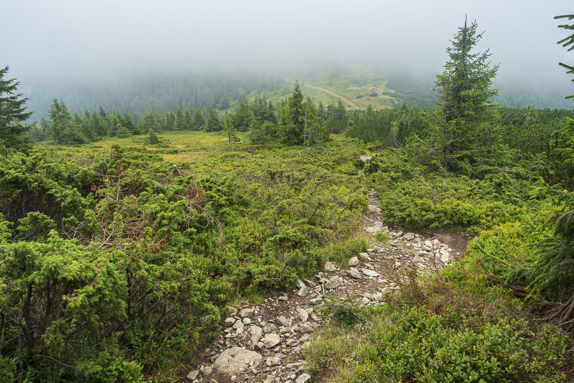 Veľká Vápenica z Heľpy (Nízke Tatry)