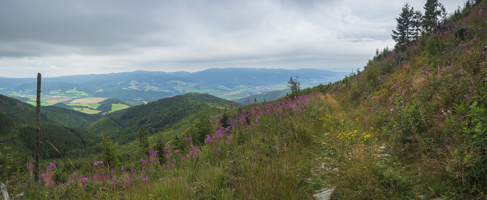 Veľká Vápenica z Heľpy (Nízke Tatry)