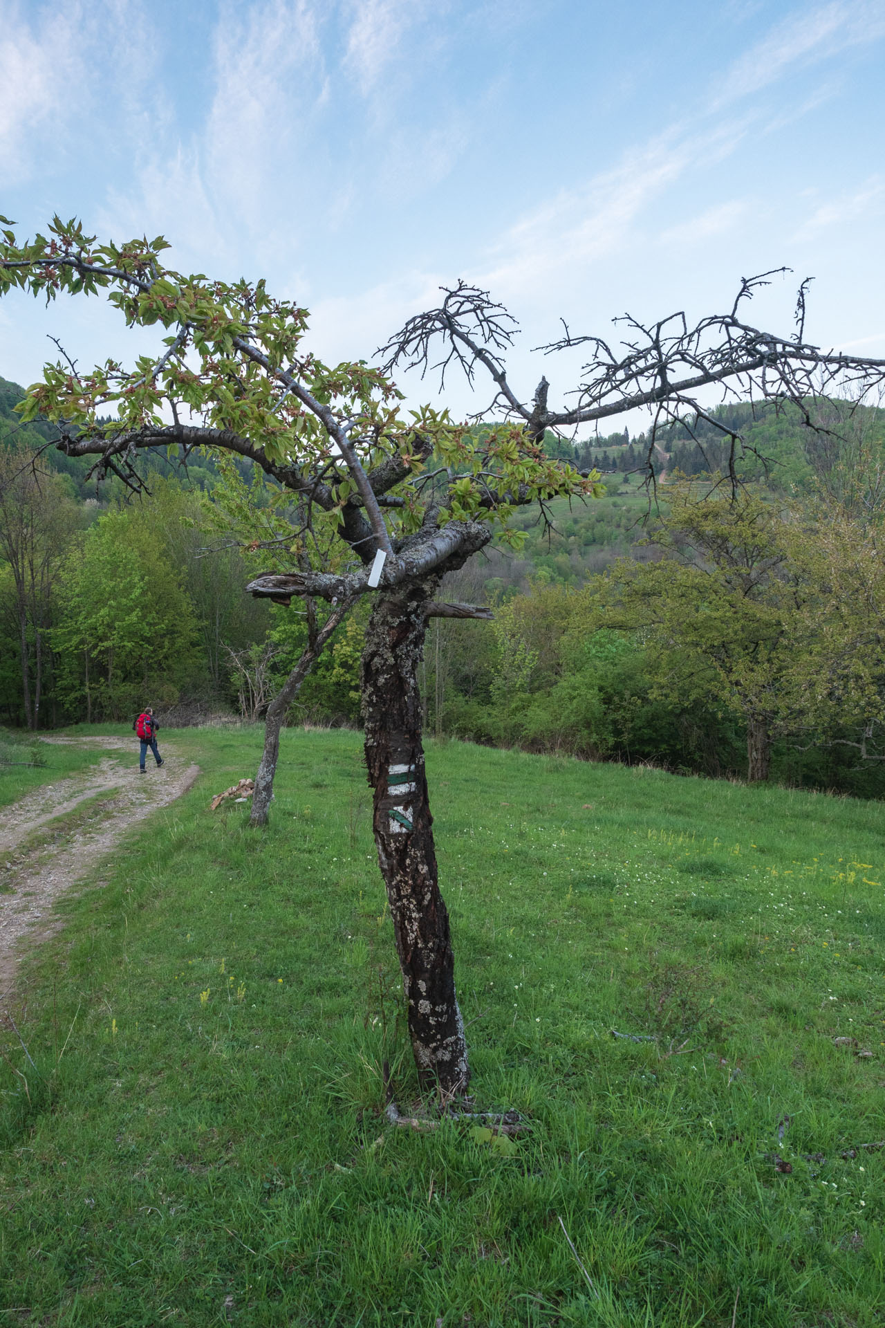 Veľký a Malý Radzim z Brdárky (Revúcka vrchovina)