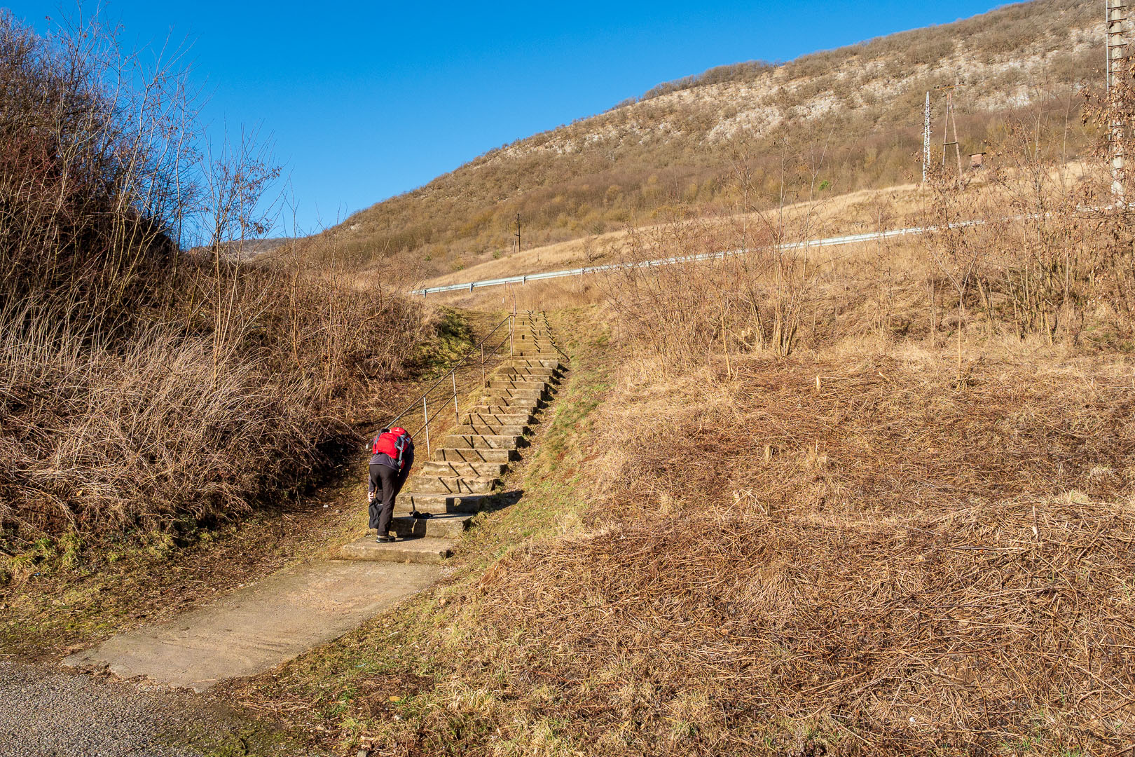 Zvonárka zo Slavca (Slovenský kras)