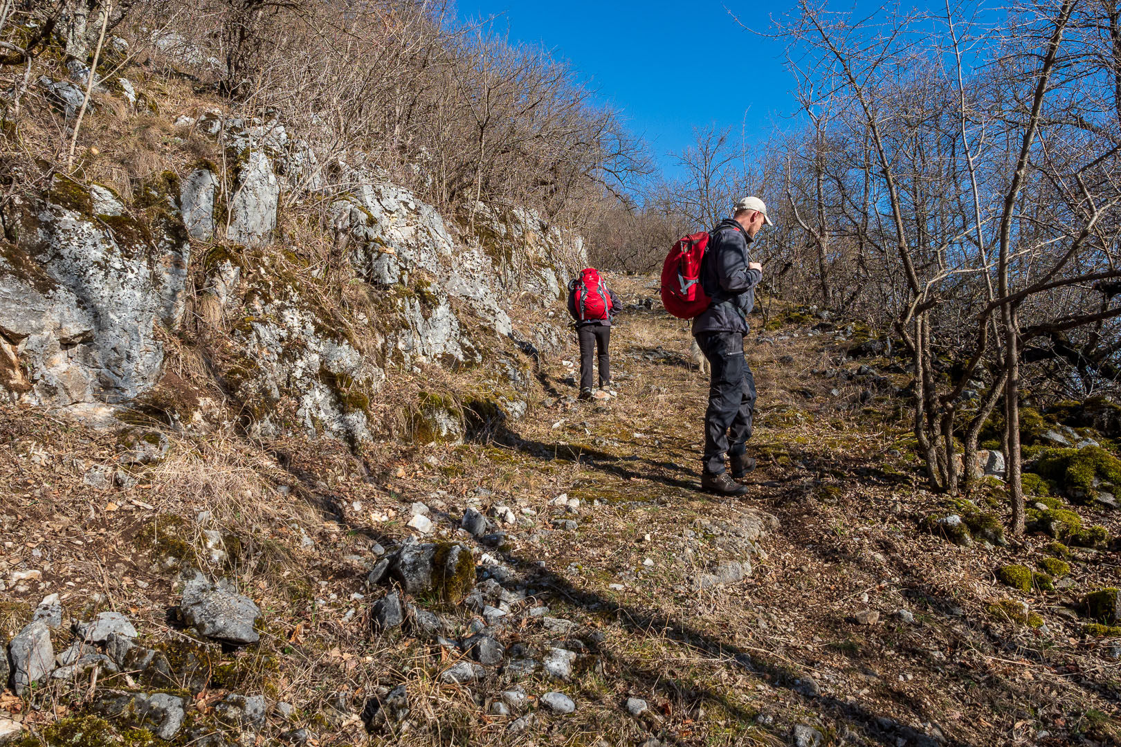 Zvonárka zo Slavca (Slovenský kras)