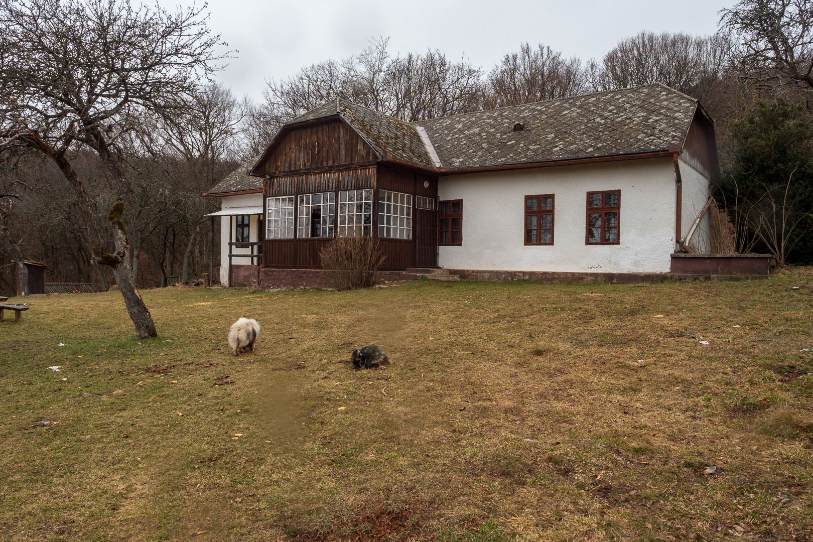 Zvonárka zo Slavca (Slovenský kras)