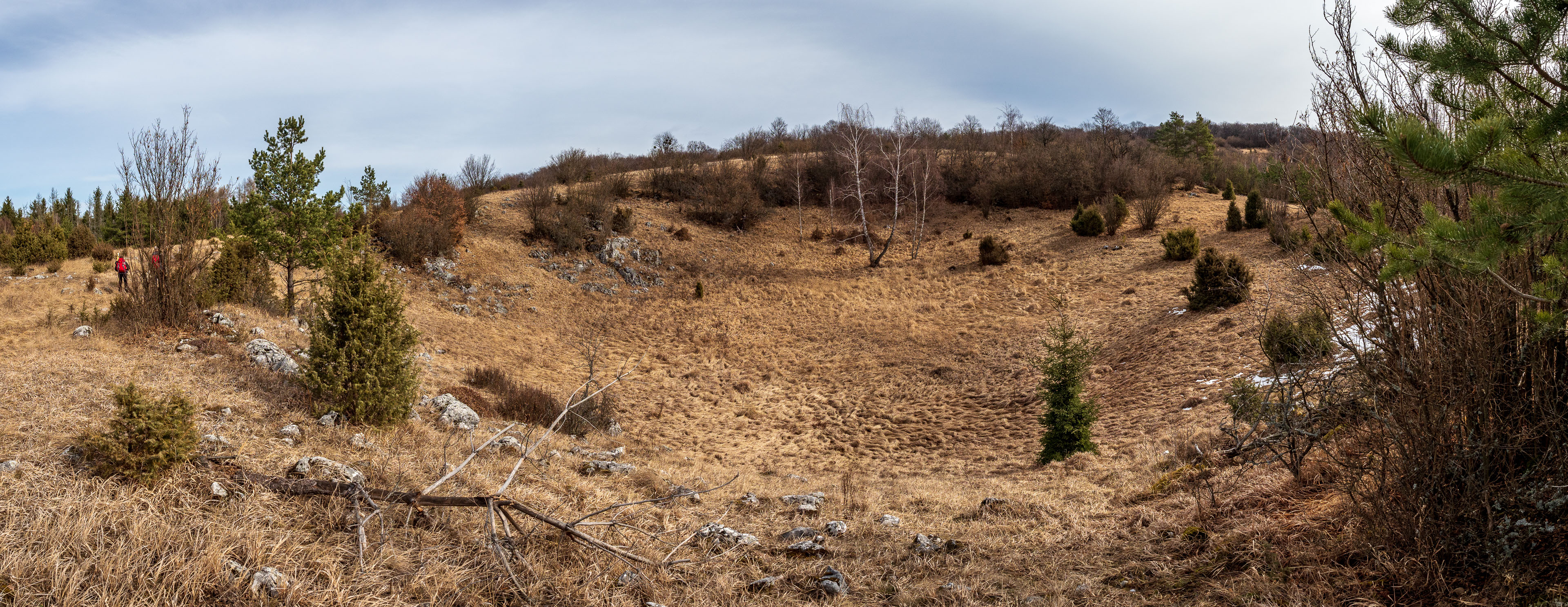 Zvonárka zo Slavca (Slovenský kras)