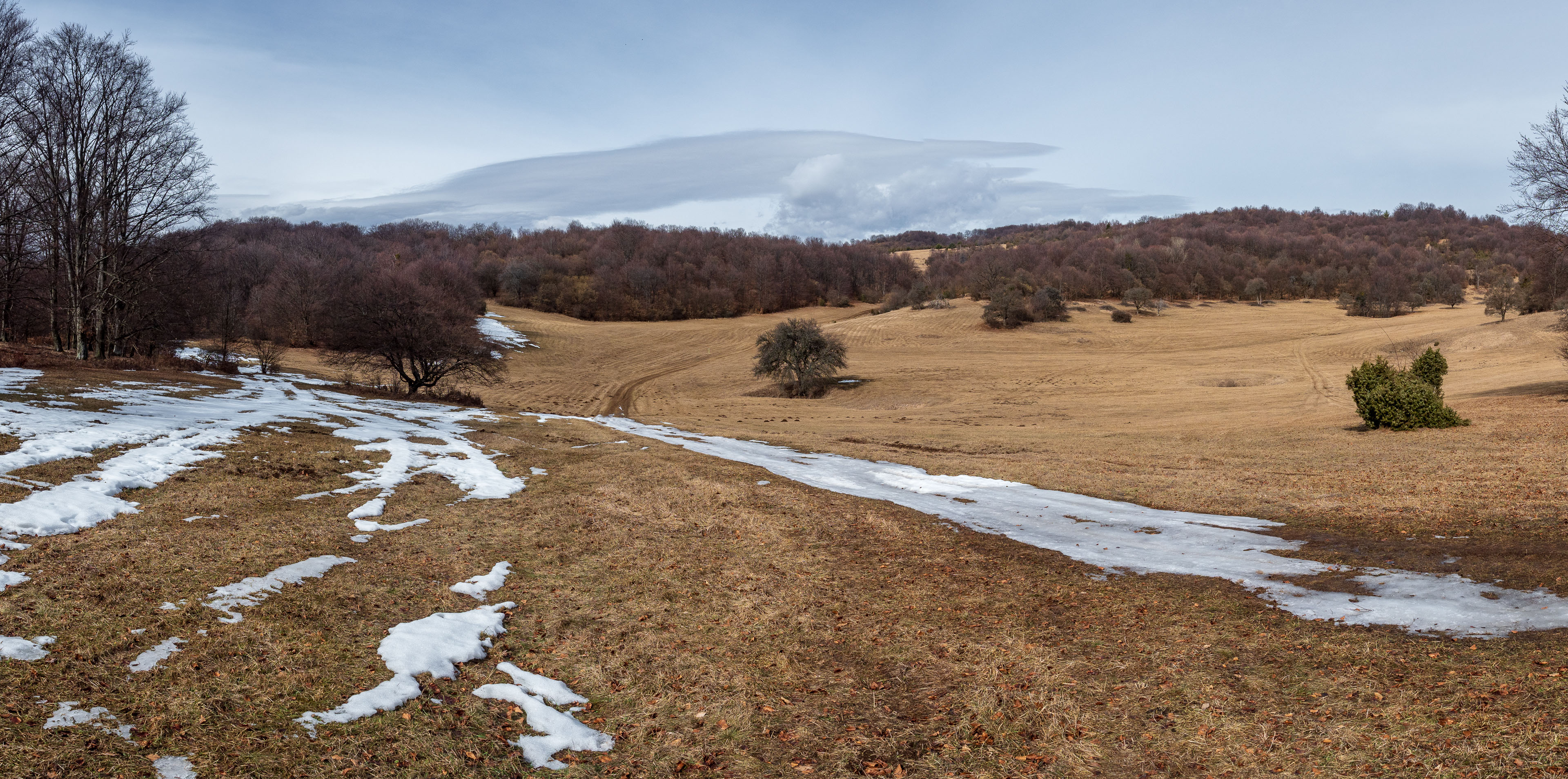 Zvonárka zo Slavca (Slovenský kras)