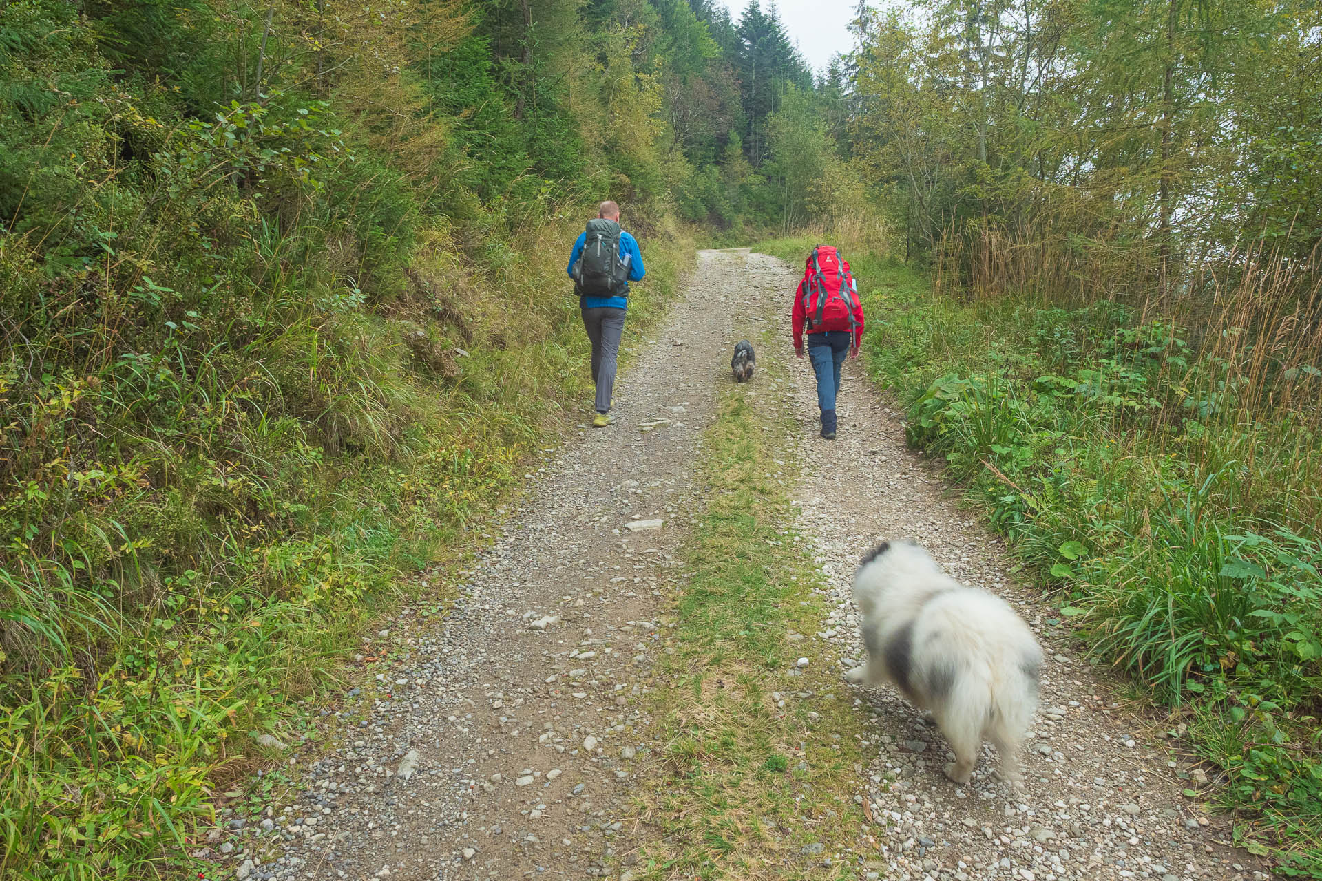 Beňuška a útulňa Barborka z Čertovice (Nízke Tatry)