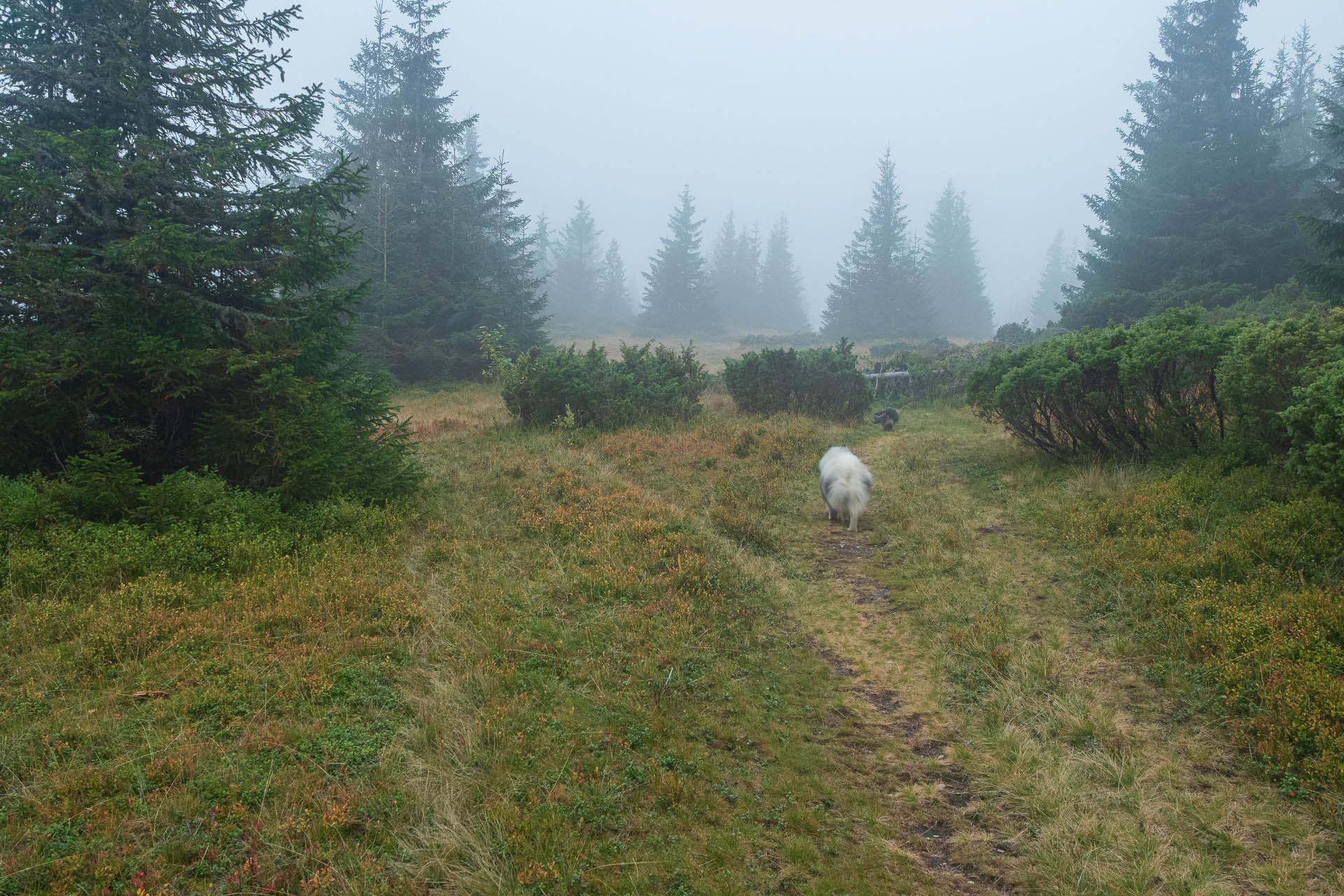 Beňuška a útulňa Barborka z Čertovice (Nízke Tatry)