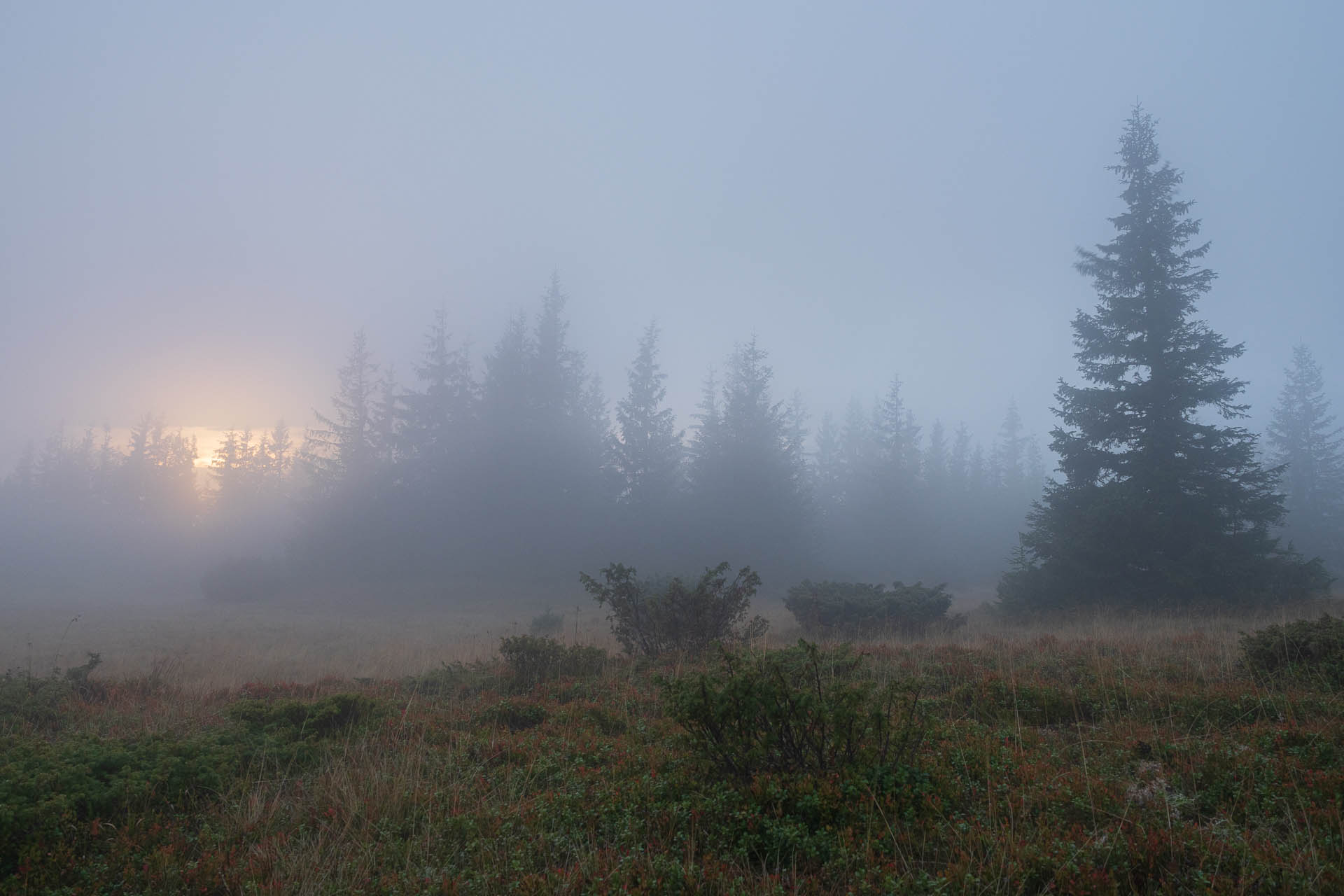 Beňuška a útulňa Barborka z Čertovice (Nízke Tatry)