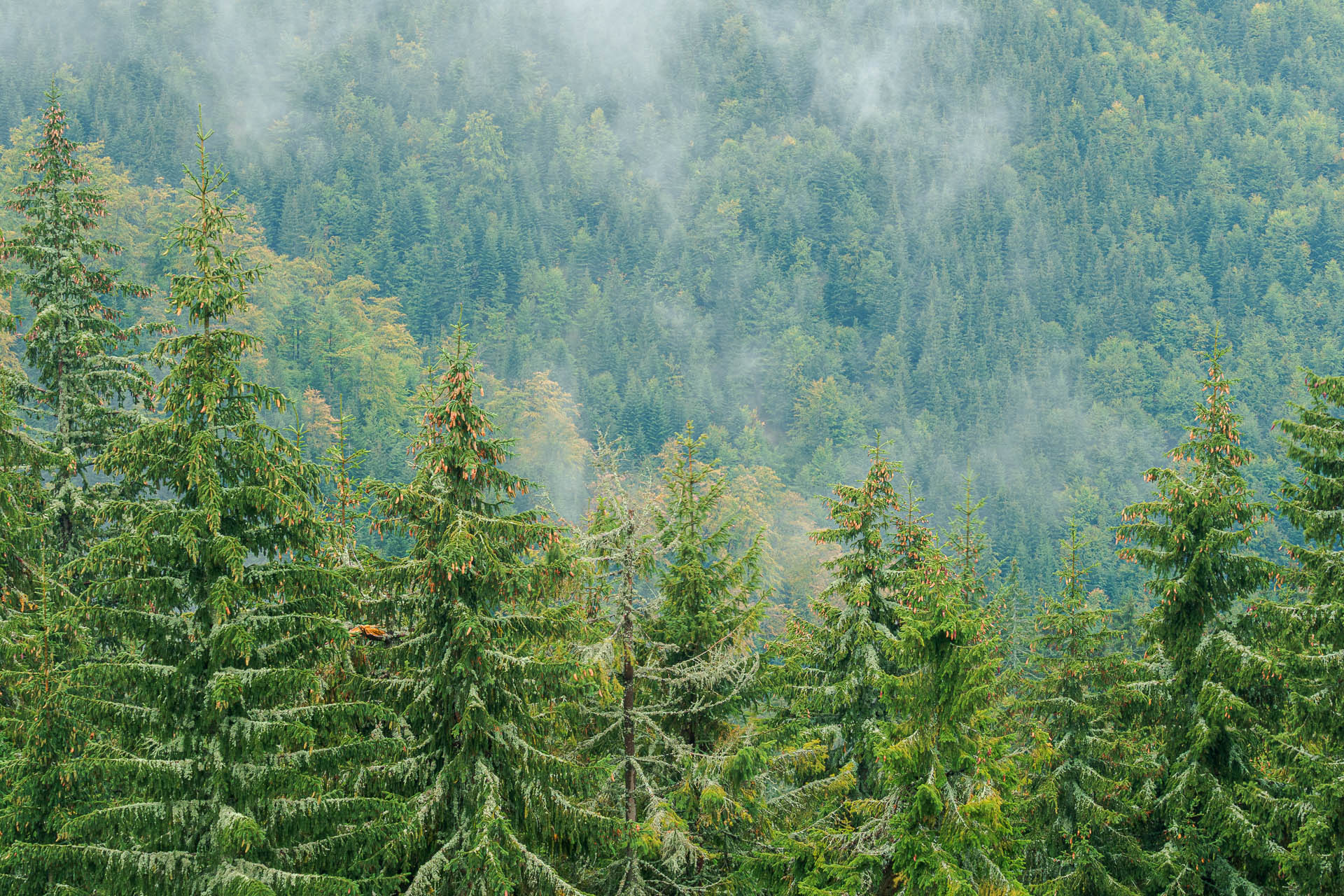 Beňuška a útulňa Barborka z Čertovice (Nízke Tatry)