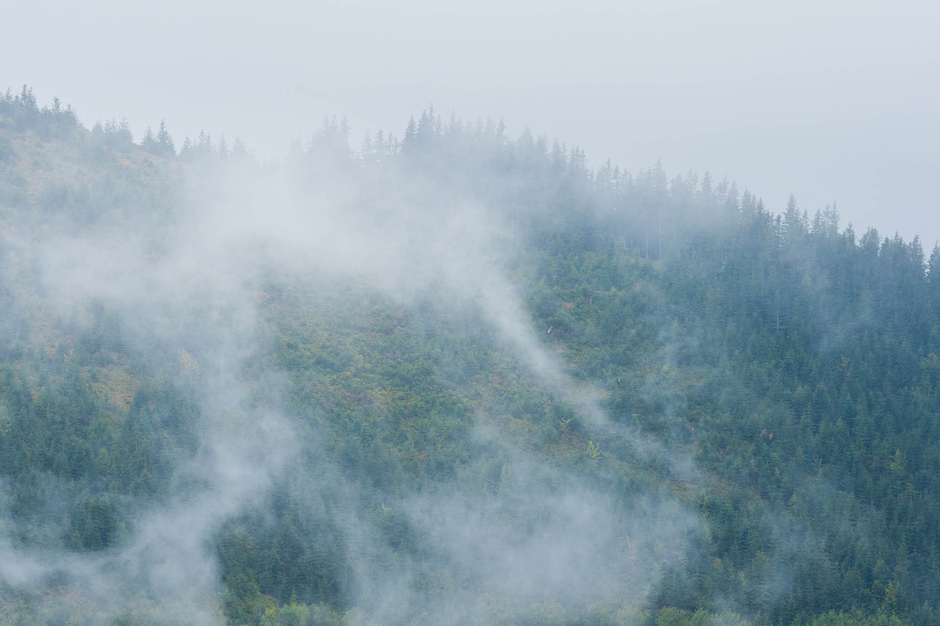 Beňuška a útulňa Barborka z Čertovice (Nízke Tatry)