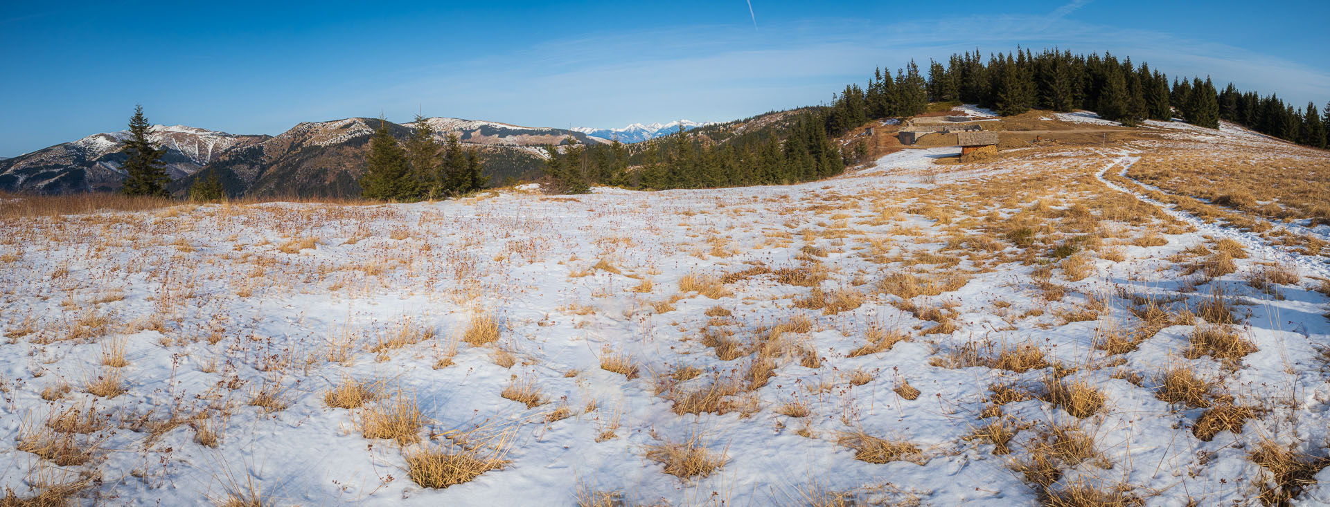 Beňuška z Čertovice (Nízke Tatry)