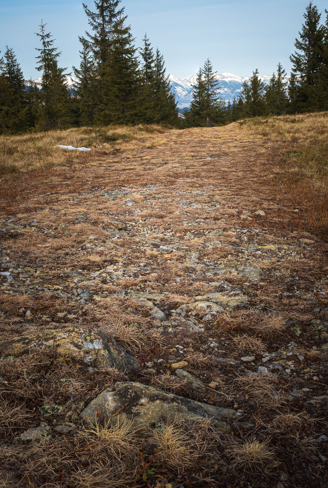 Beňuška z Čertovice (Nízke Tatry)